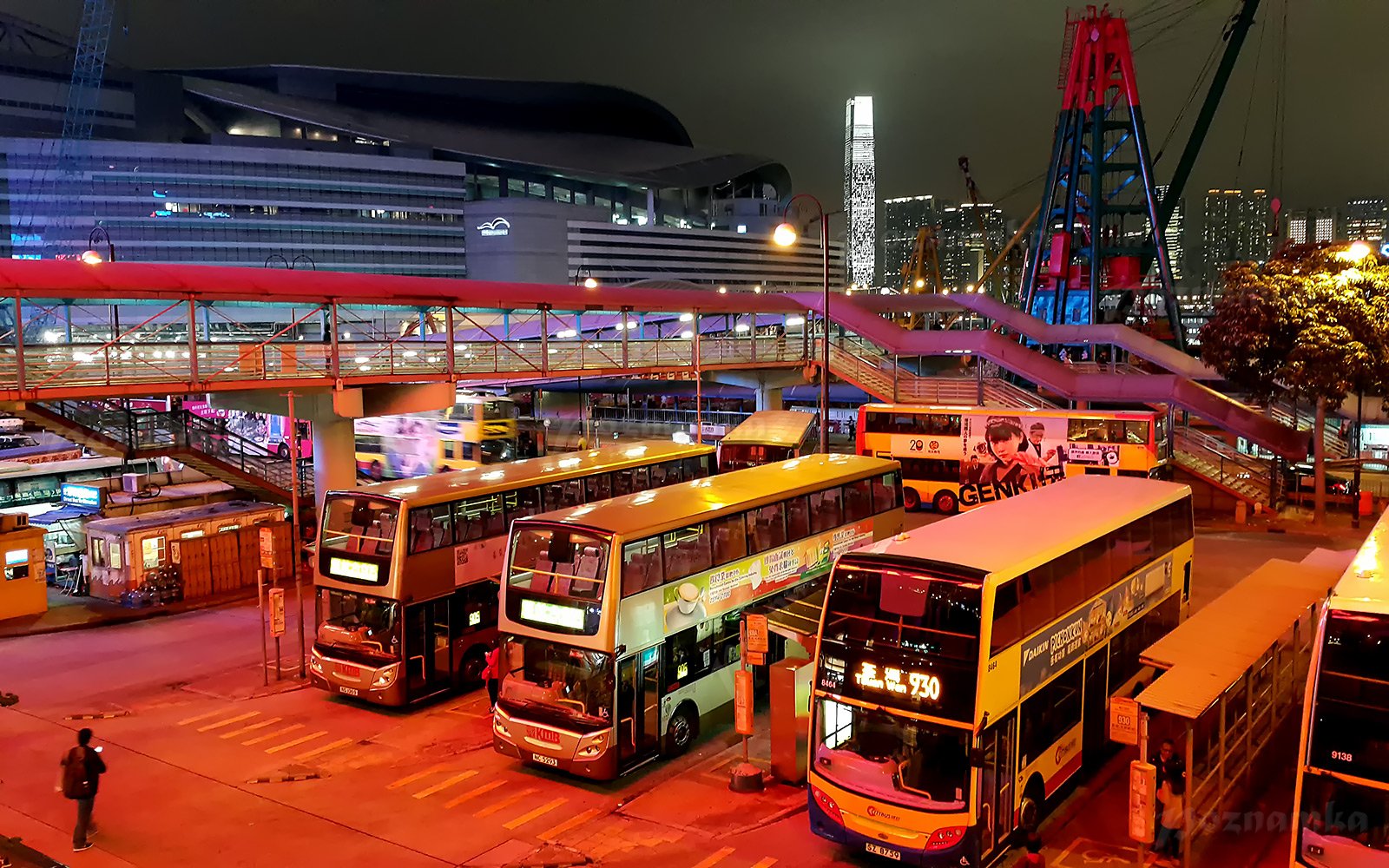 Transport of countries. Транспорт Австралии. Автобусы в Австралии. Что такое автовокзал в Японии. Гонконг транспорт.