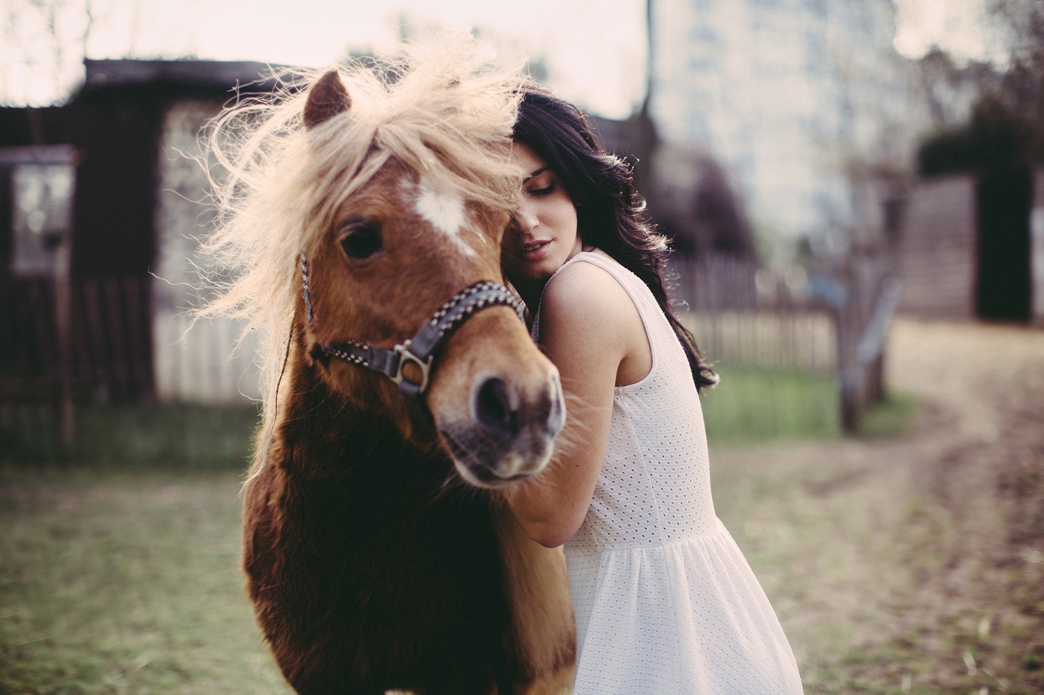 Девочка с лошадкой. Фотосессия с лошадьми. Красивая фотосессия с лошадью. Девушка с лошадью. Девушка обнимает лошадь.