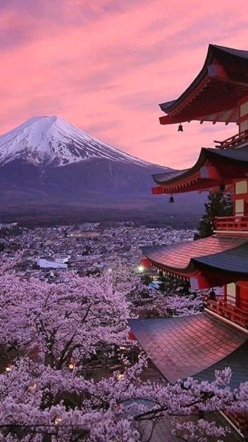 Japan. Токио гора Фудзияма. Япония гора Фудзияма храм. Фудзи Сакура храм. Киото Фудзи.