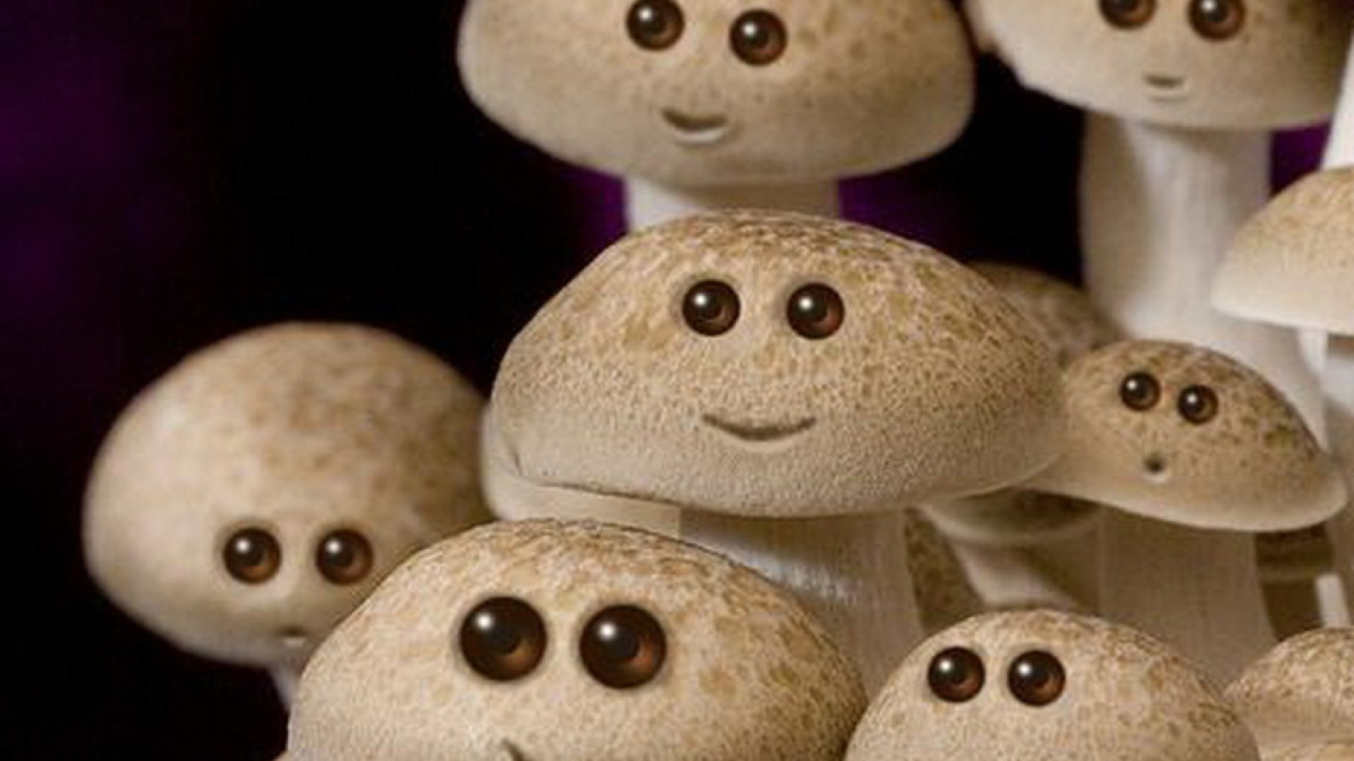 Грибы едят они глядят. Веселый гриб. Смешные грибы. Смешные грибочки. Говорящие грибы.