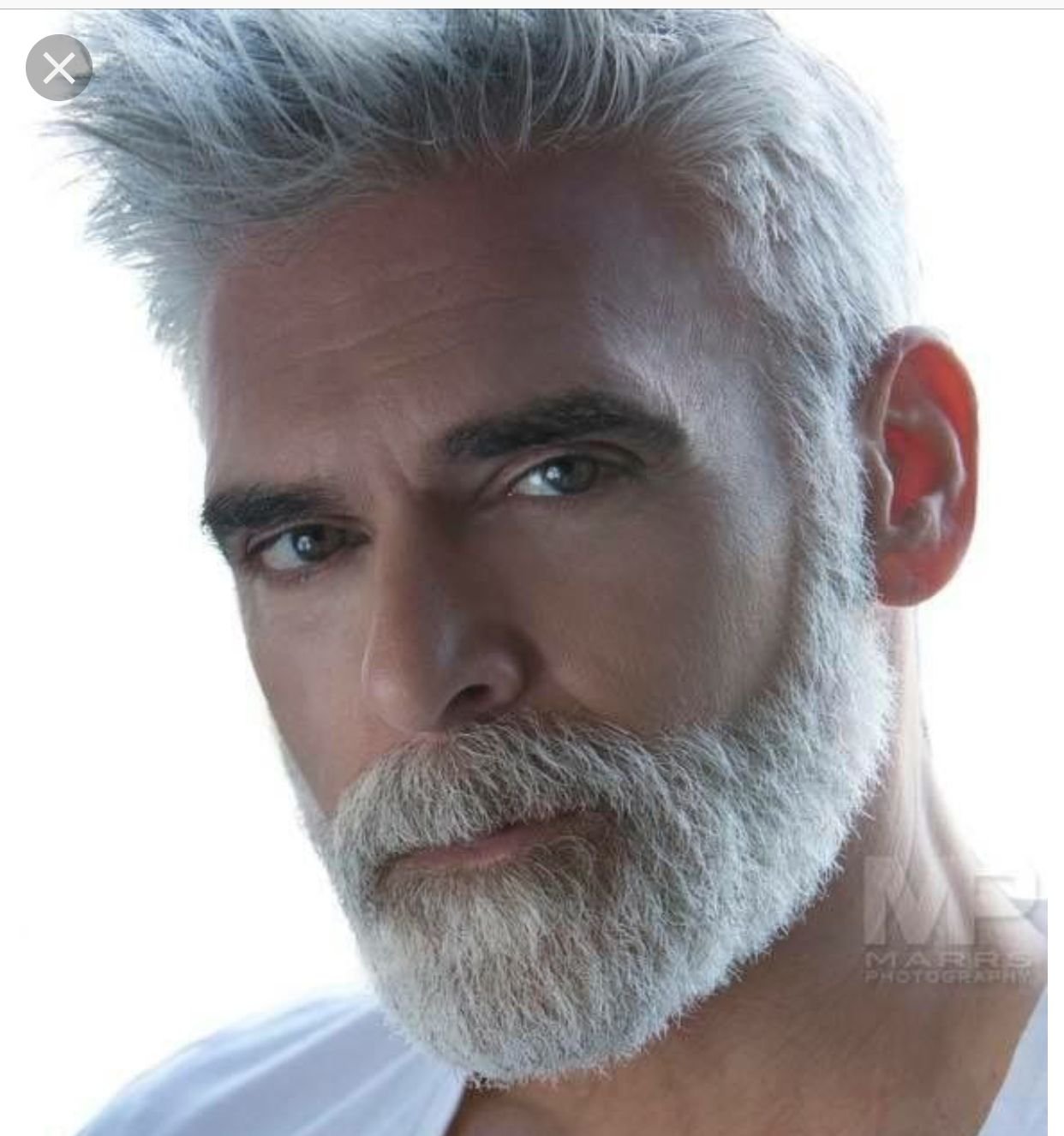 красивые седые бороды у мужчин фото