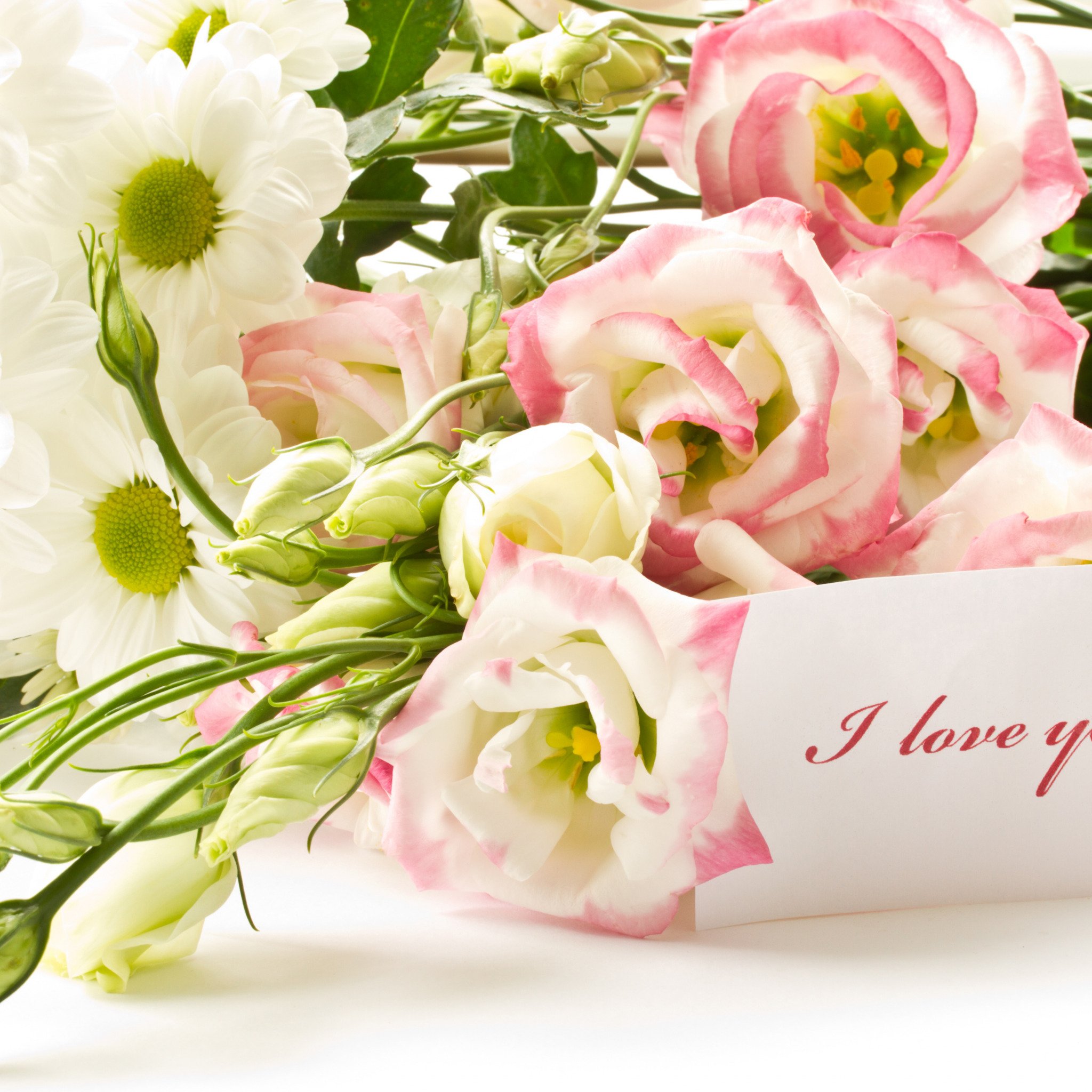 Нежная открытка с днем рождения для женщины. Нежный букет. Красивый нежный букет. Открытки с цветами. Нежные цветы поздравляю.