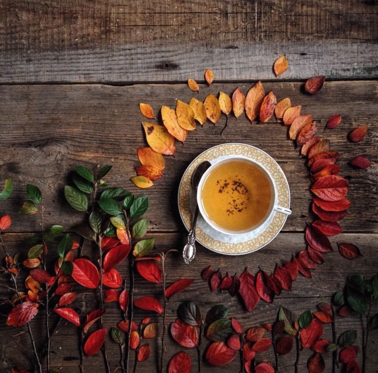 Доброе утро картинки осень. Осенний кофе. Утро осень. Утро кофе осень. Утро осень уют.