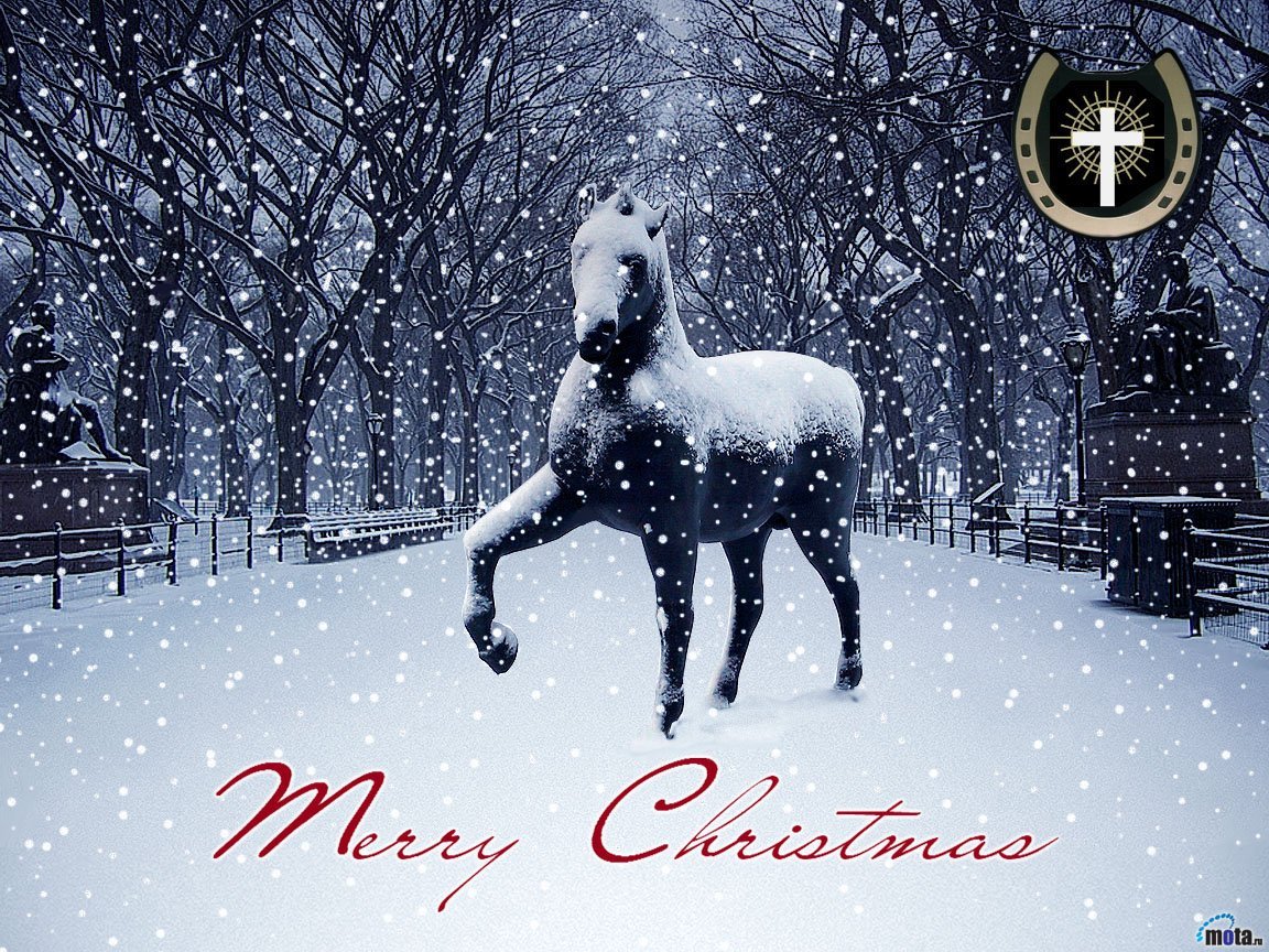 Красивые открытки с лошадьми