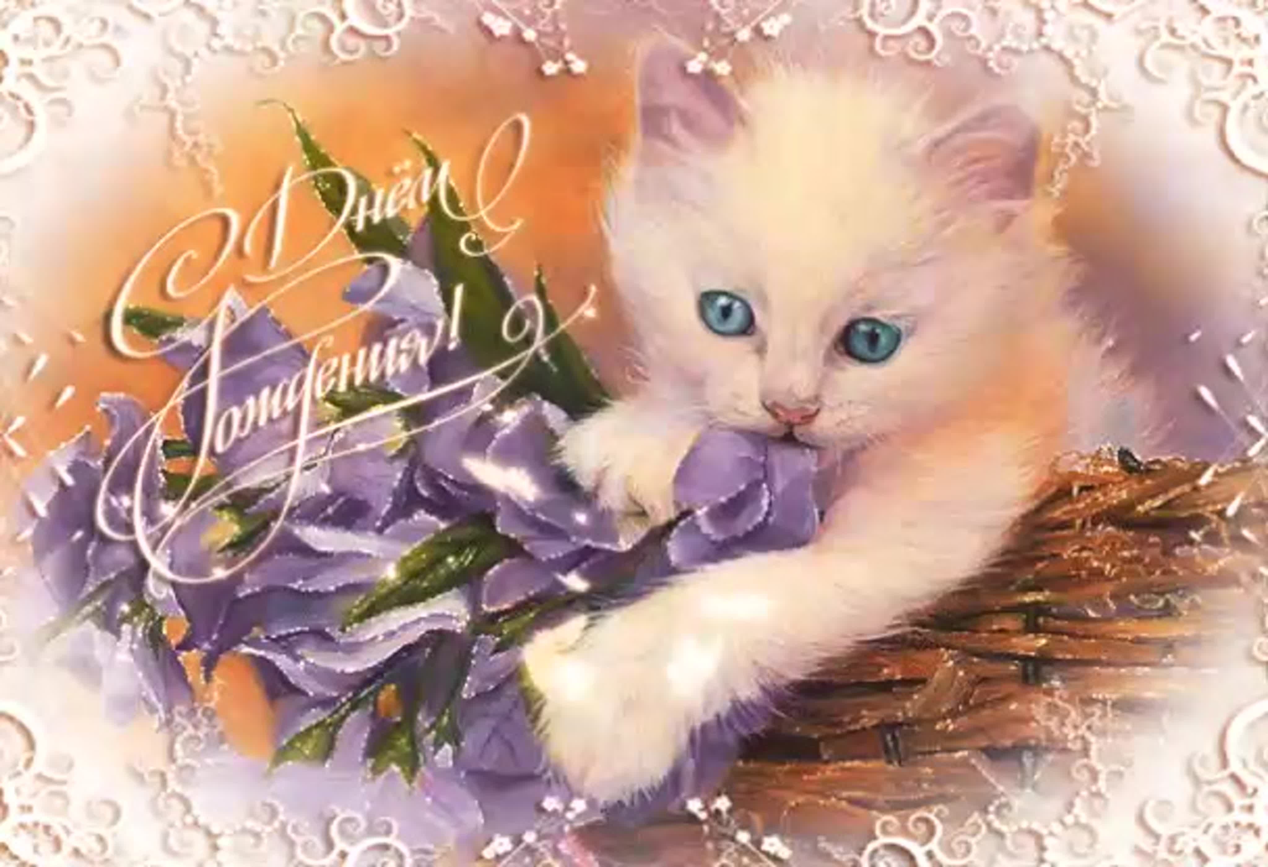 Поздравление кошечки. Красивые открытки. Открытки с днем рождения с котами. Открытка с днём рождения с кошечкой. Открытка с днём рождения с котятами.