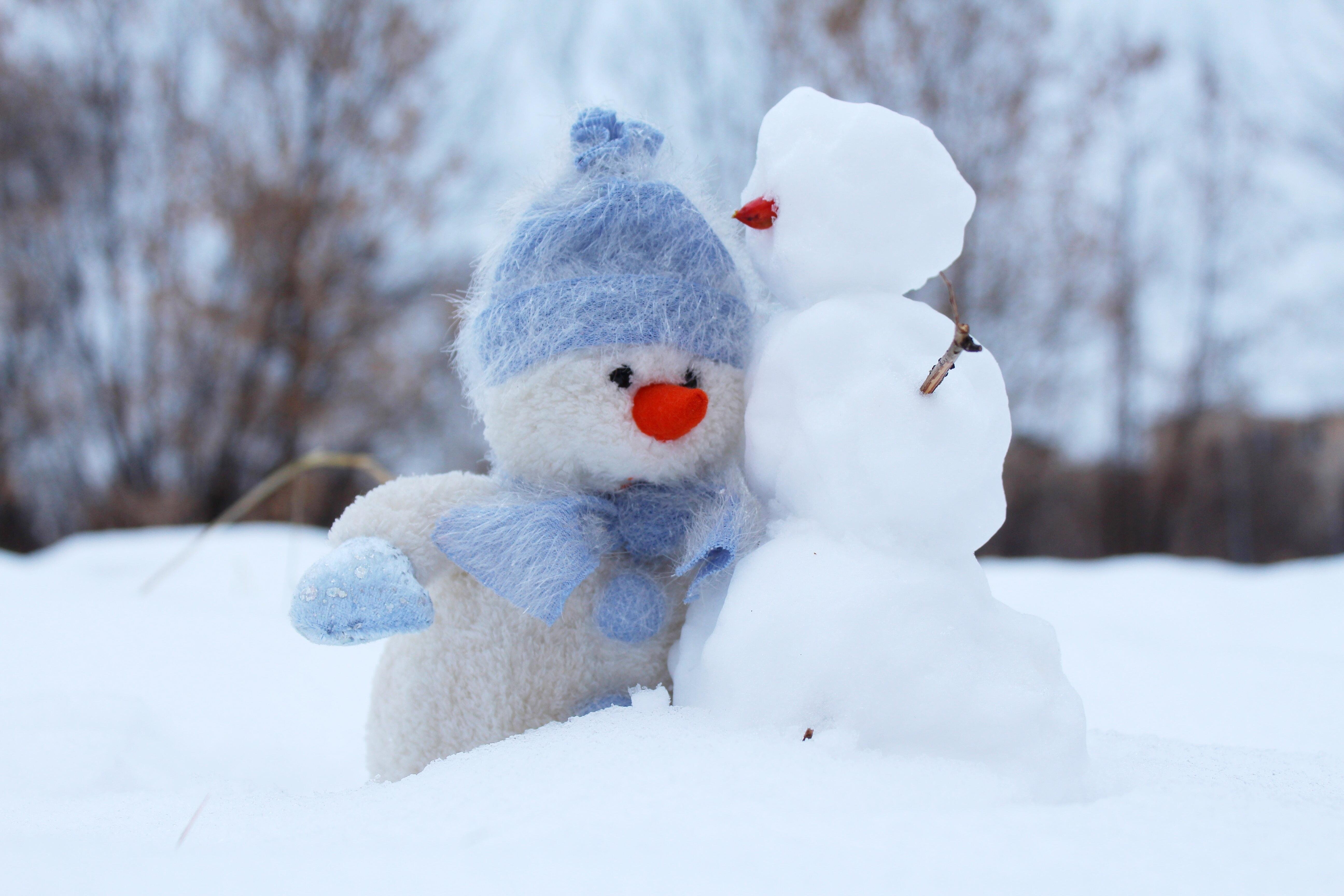 Теплая снежная зима. Снеговики. Снеговик фото. Снеговик из снега. Влюбленные Снеговики.