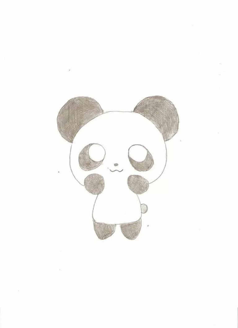 Рисунки для срисовки панды милые легкие