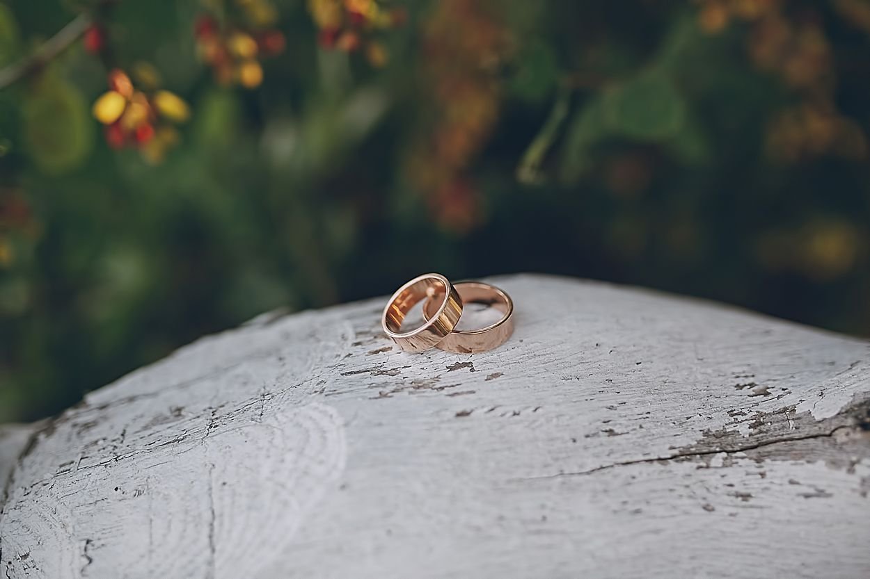 Понравились кольца. Обручальные кольца красивые необычные. Обручальные кольца с листьями. Обручальные кольца картинки. Помолвочное кольцо с листьями.