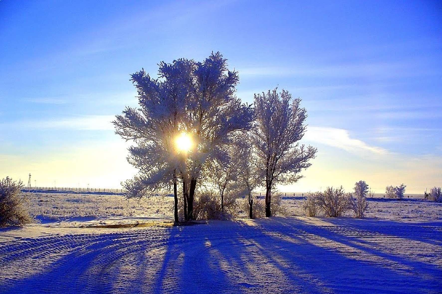 Январский день. Морозное утро. Солнце зимой. Утро зима. Солнечный день зимой.