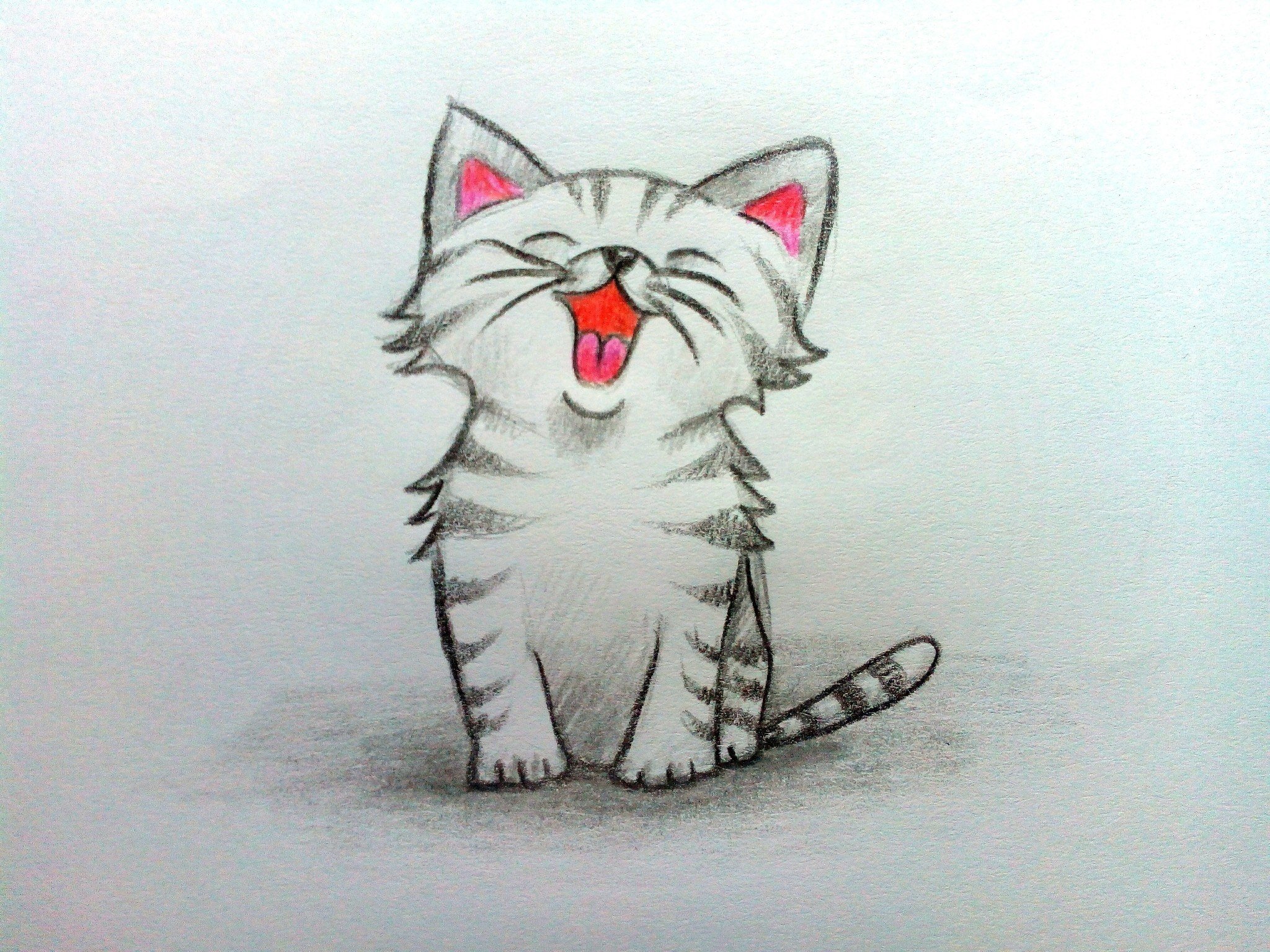 Фото рисунка кошки. Котёнок рисунок карандашом. Рисунок кошки карандашом для срисовки. Котики для срисовки карандашом. Кот для срисовки карандашом.