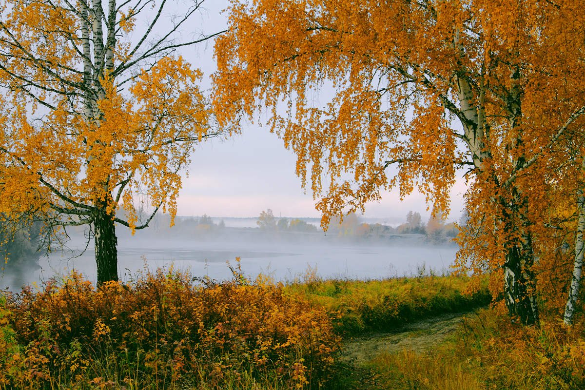 В природе нет ничего прелестнее. Тихая осень. Осеннее очарование. Осенних дней очарованье. Осенняя пора.