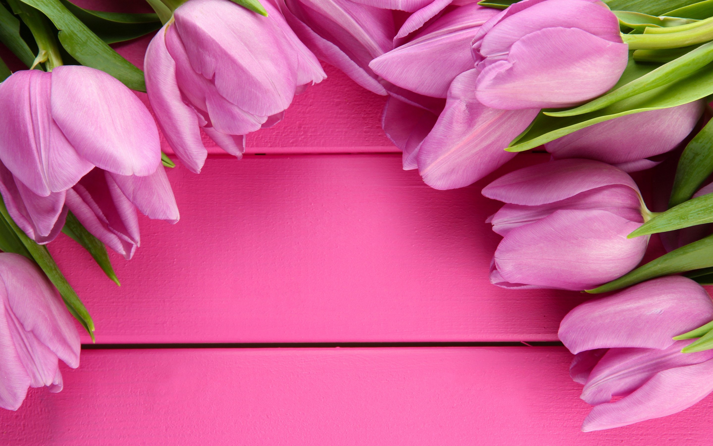 Красивые видео с днем рождения маме. Тюльпаны открытка. Розовые тюльпаны. Открытка цветы. День матери.