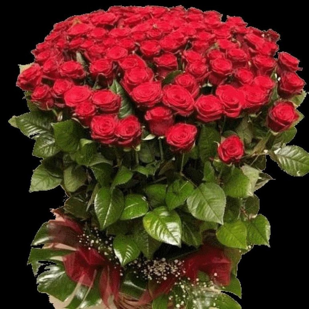 С днем рождения букеты роз с пожеланиями. Красивые большие букеты. Букет шикарный. Большой красивый букет цветов. Шикарный букет роз.