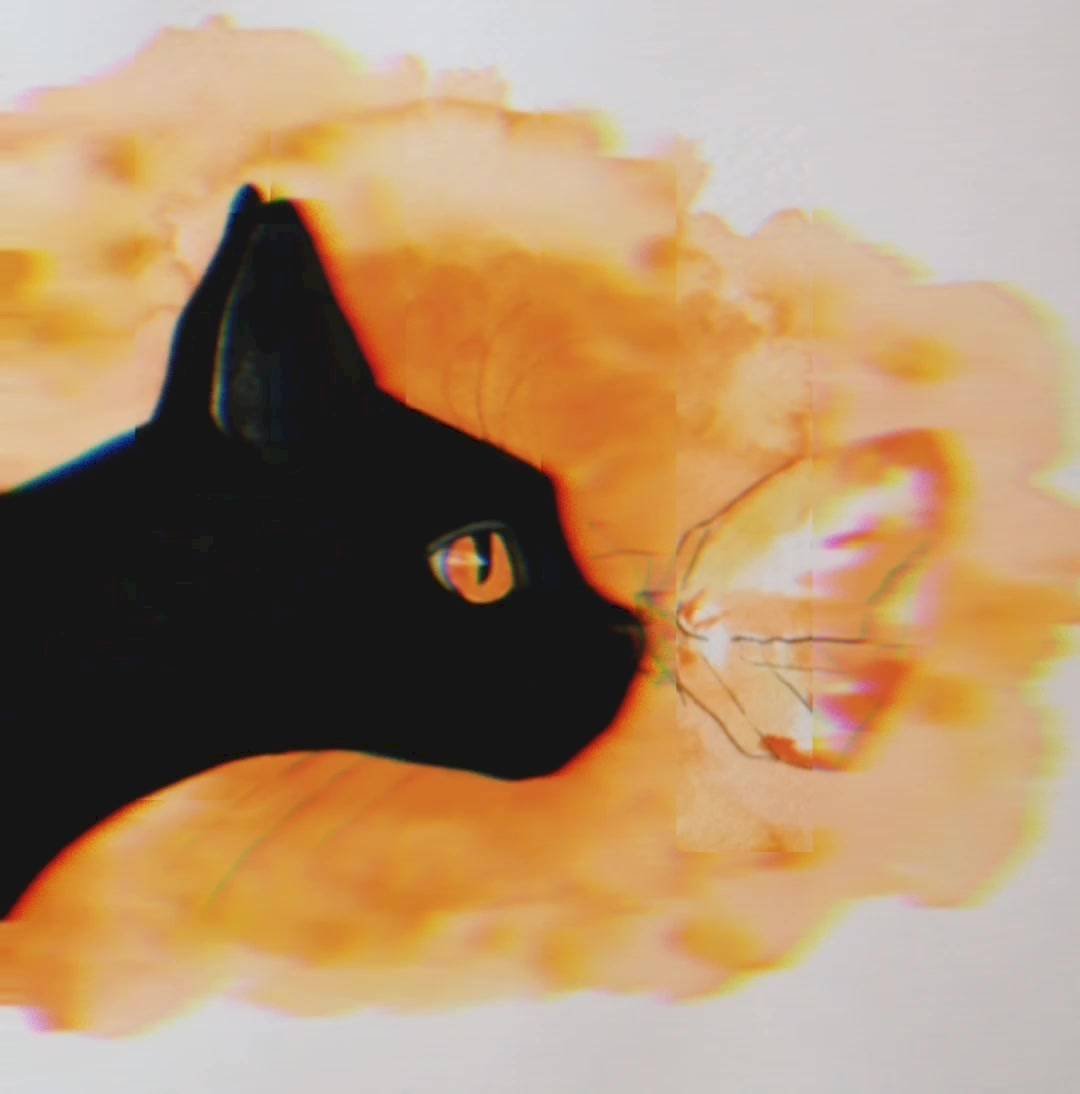 Черная кошка акварелью