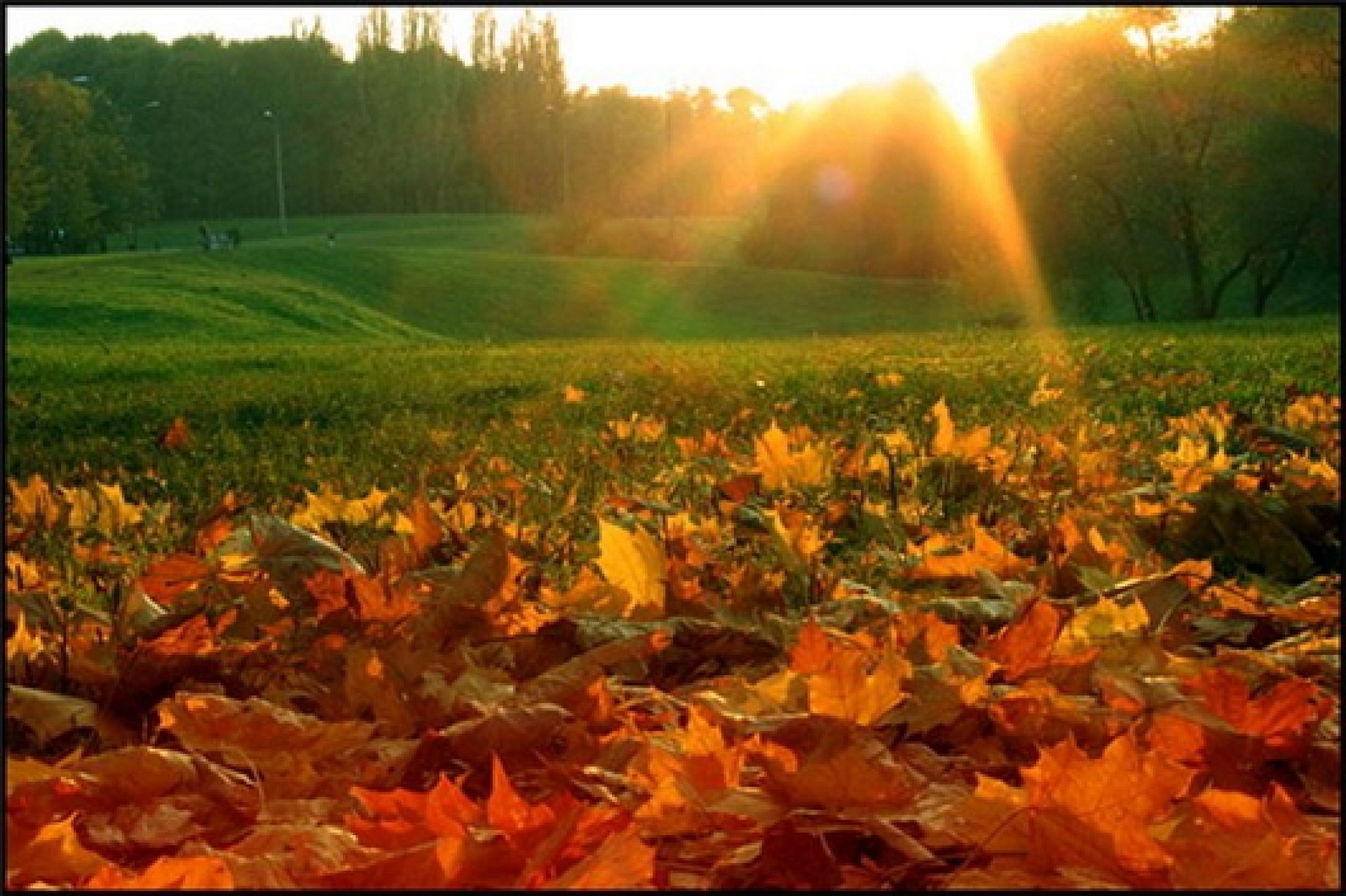 Чем примечательно 23 сентября. Осень сентябрь. Конец лета и начало осени. С наступлением осени. Тёплая осень.