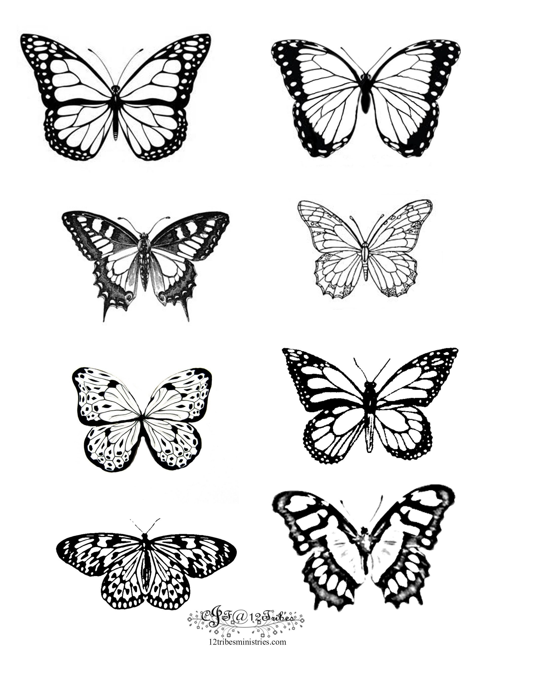Распечатки бабочек черно. Бабочка рисунок. Татуировка бабочка эскиз. Бабочка тату эскиз. Раскраска "бабочки".