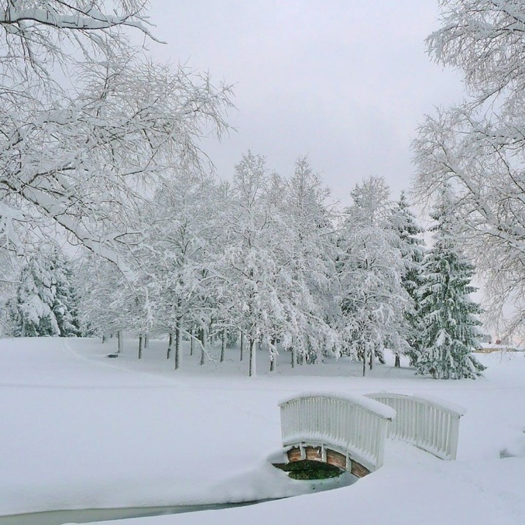 Зимний парк. Зимний снегопад. Зимний пейзаж в парке. Белоснежная зима.