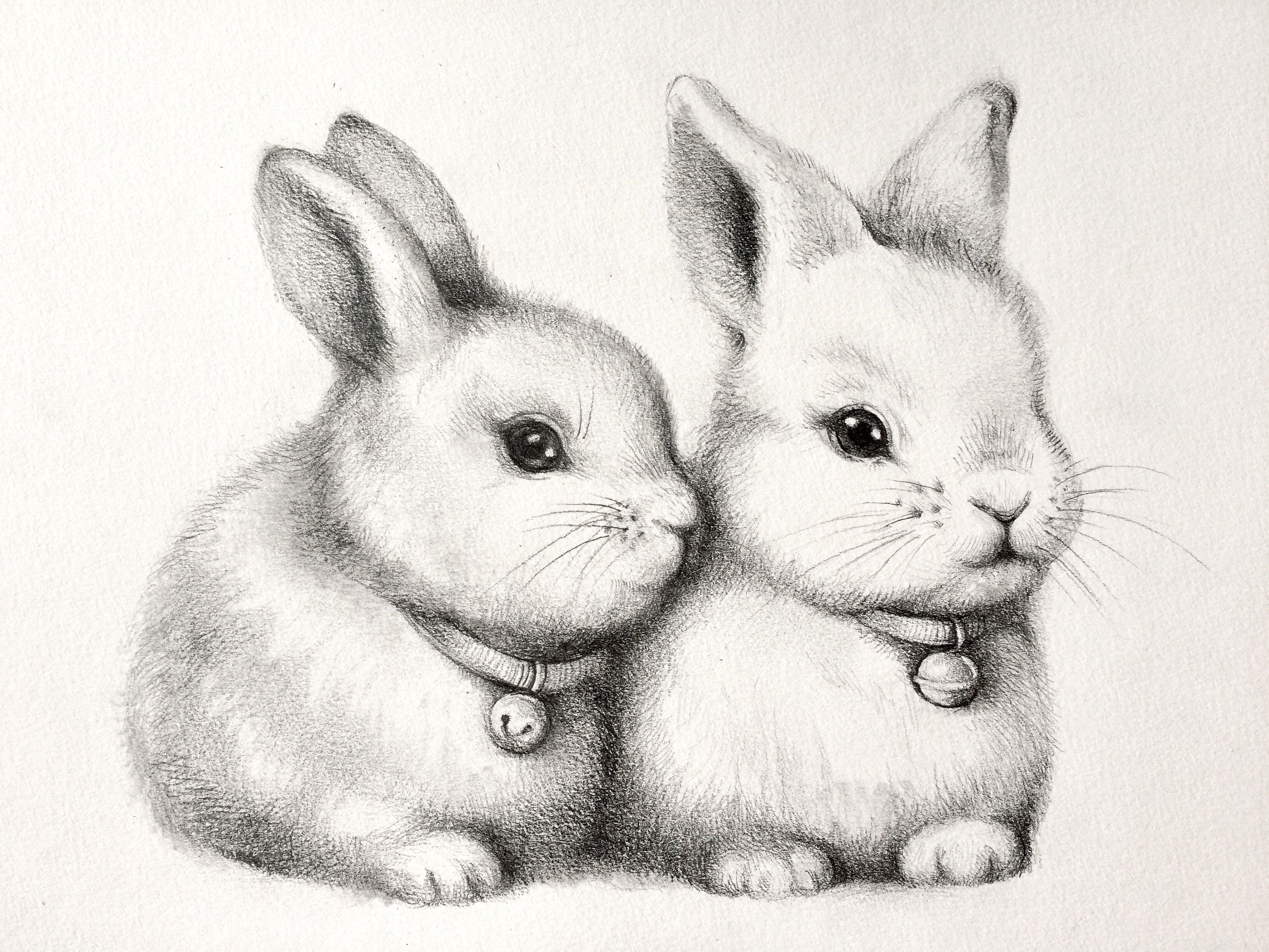 Рисунки для срисовки животные милые и красивые. Кролик рисунок. Зайчик рисунок карандашом. Кролик рисунок карандашом. Милые рисунки карандашом.