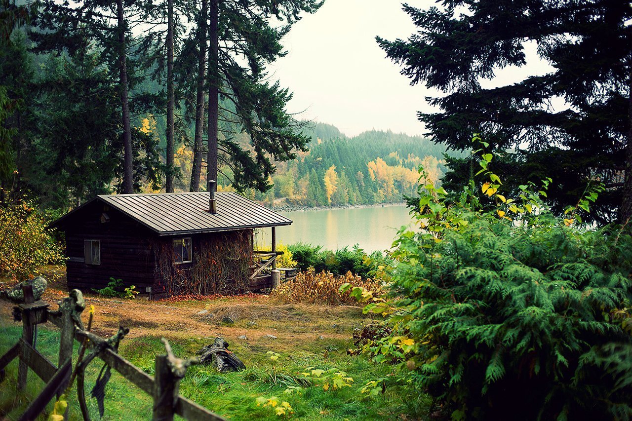 Около нашего дома недавно. Хижина штата Мэн. Шварцвальд дом в лесу. Домик у реки в Йёльстере. Норвегия. Домик лесника Канада.