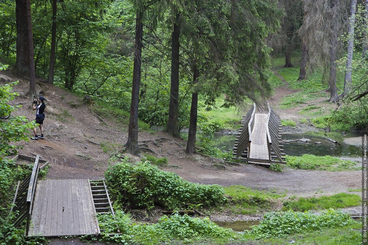 Собор в саду скульптур в Зеленограде