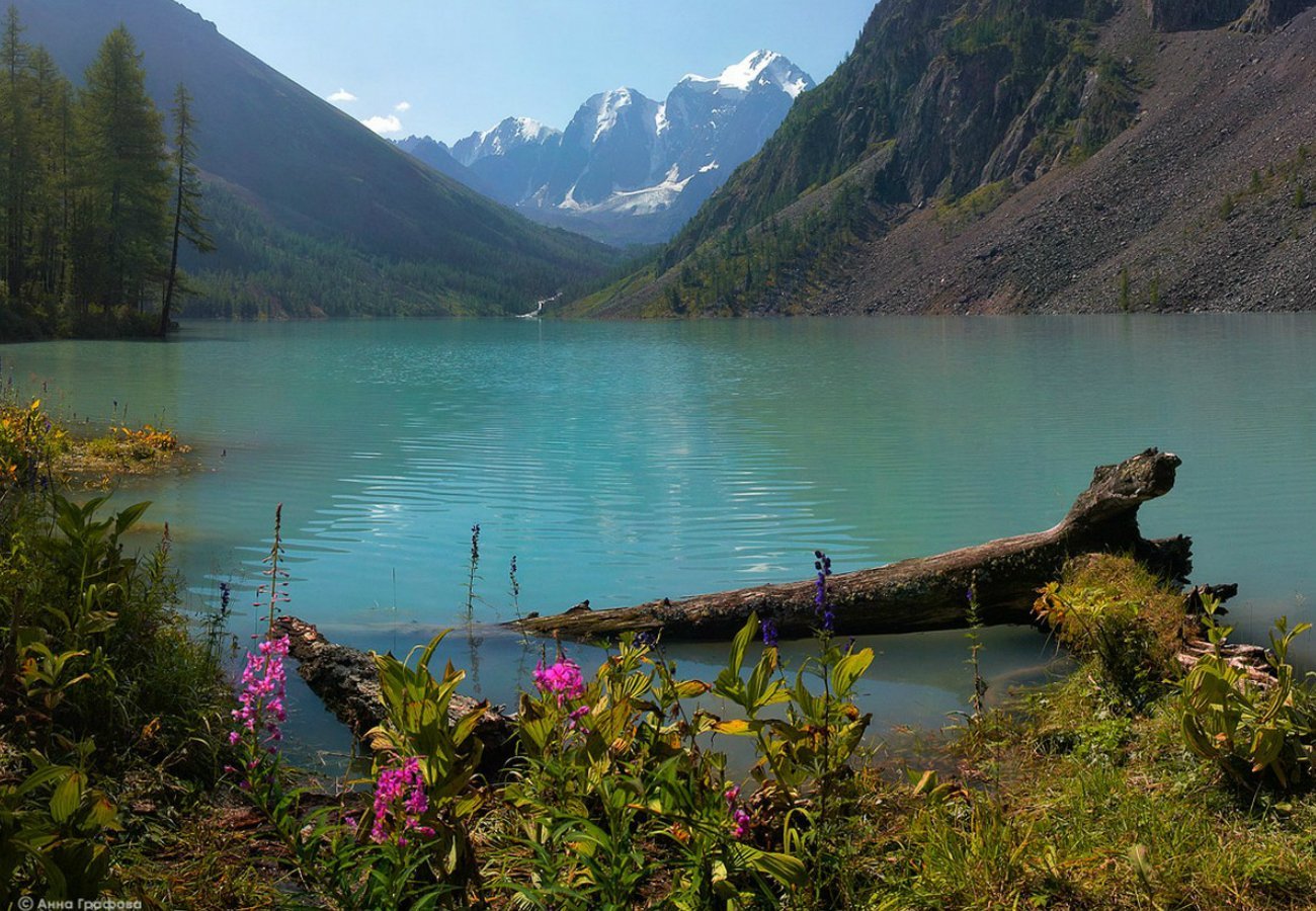 Увидим красивые места. Горный Алтай озеро Шавло. Форелевое озеро Алтай. Кучерлинское озеро.