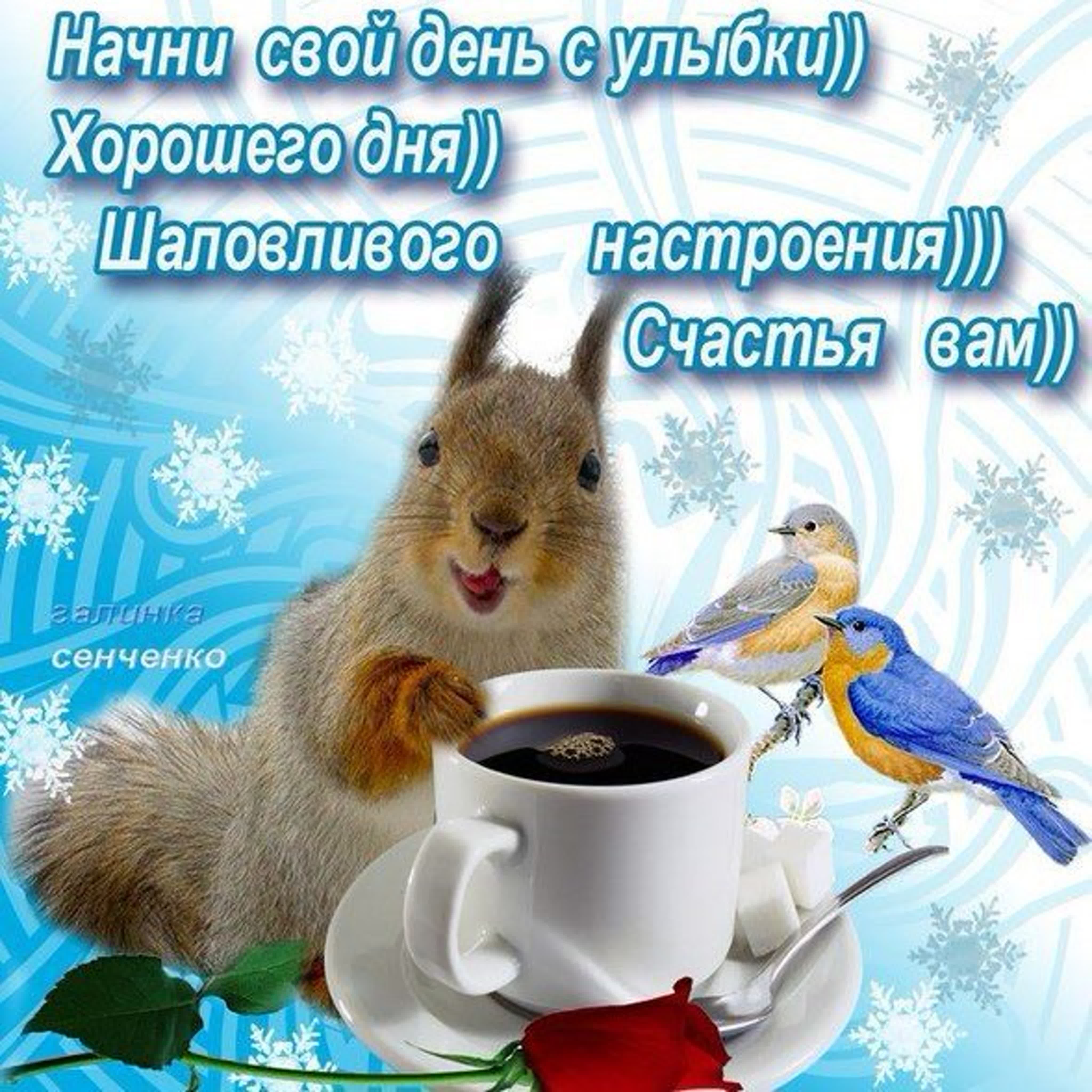Добрым утром днем зимы картинки. Зимние поздравления с добрым утром. Зимние открытки поздравления с добрым утром. Пожелания доброго зимнего утра. Доброго зимнего утра и хорошего дня.