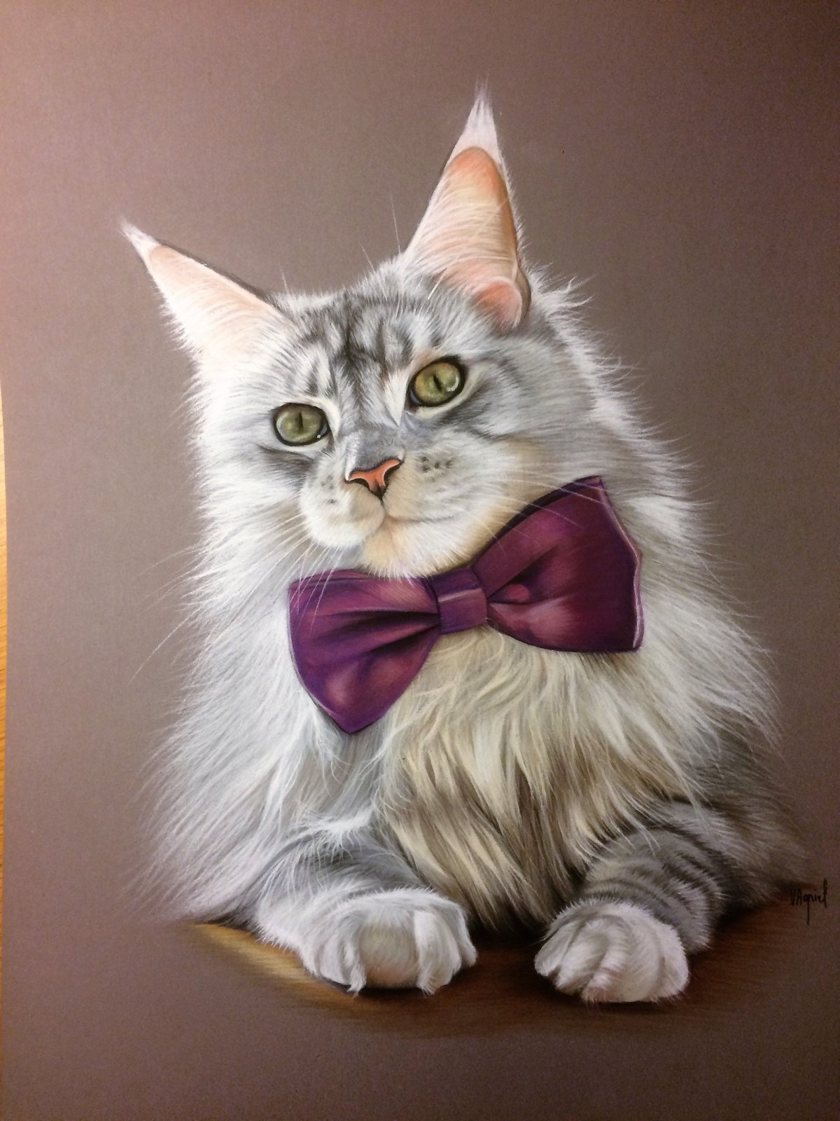 Chat рисует. Портрет кошки. Портреты красивых кошек. Красивый кот портрет. Пушистый кот арт.
