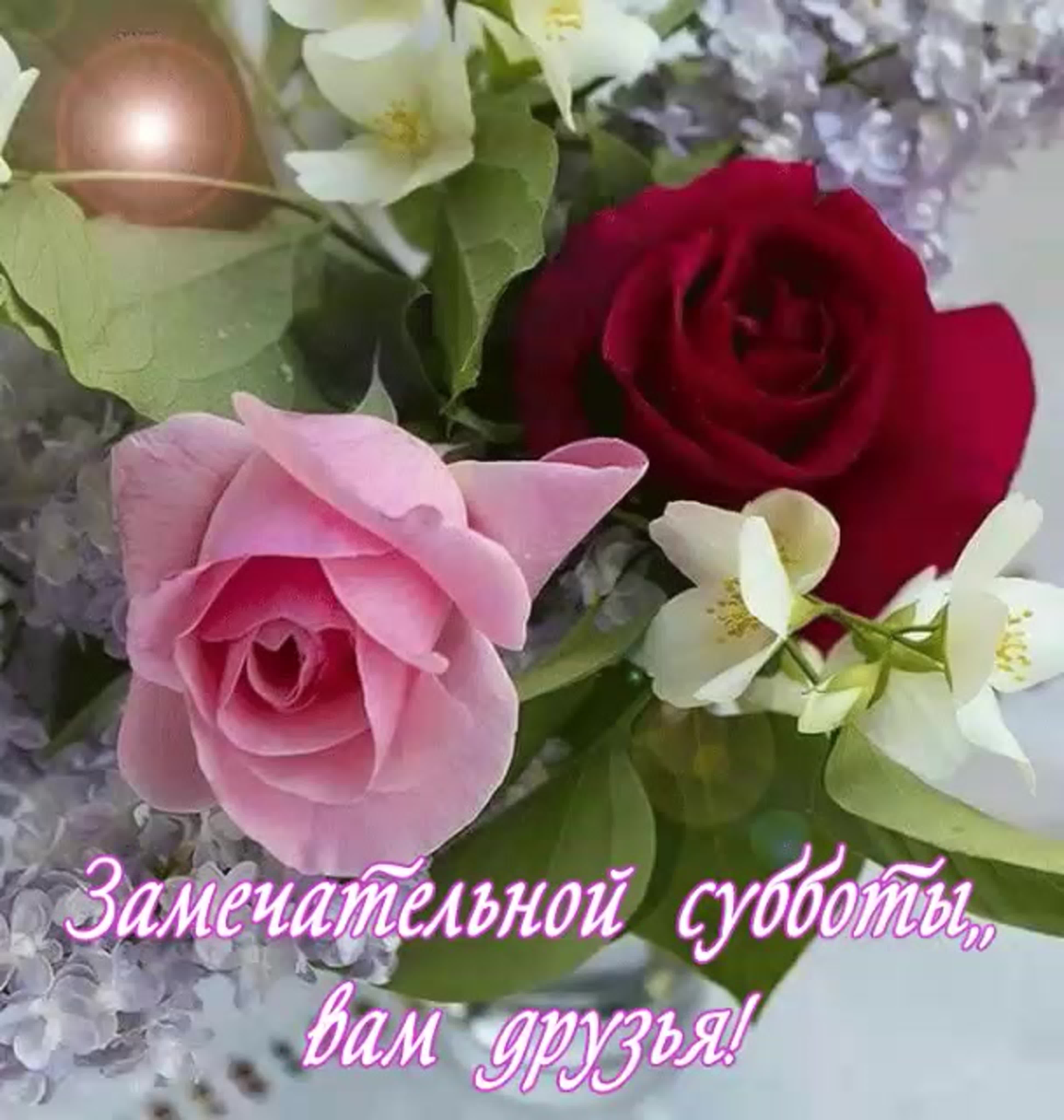 Добрый день картинки с розами. Хорошего настроения и удачного дня цветы. Хорошего дня и прекрасного настроения. Открытки с цветами добрый день. Отличного дня цветы.