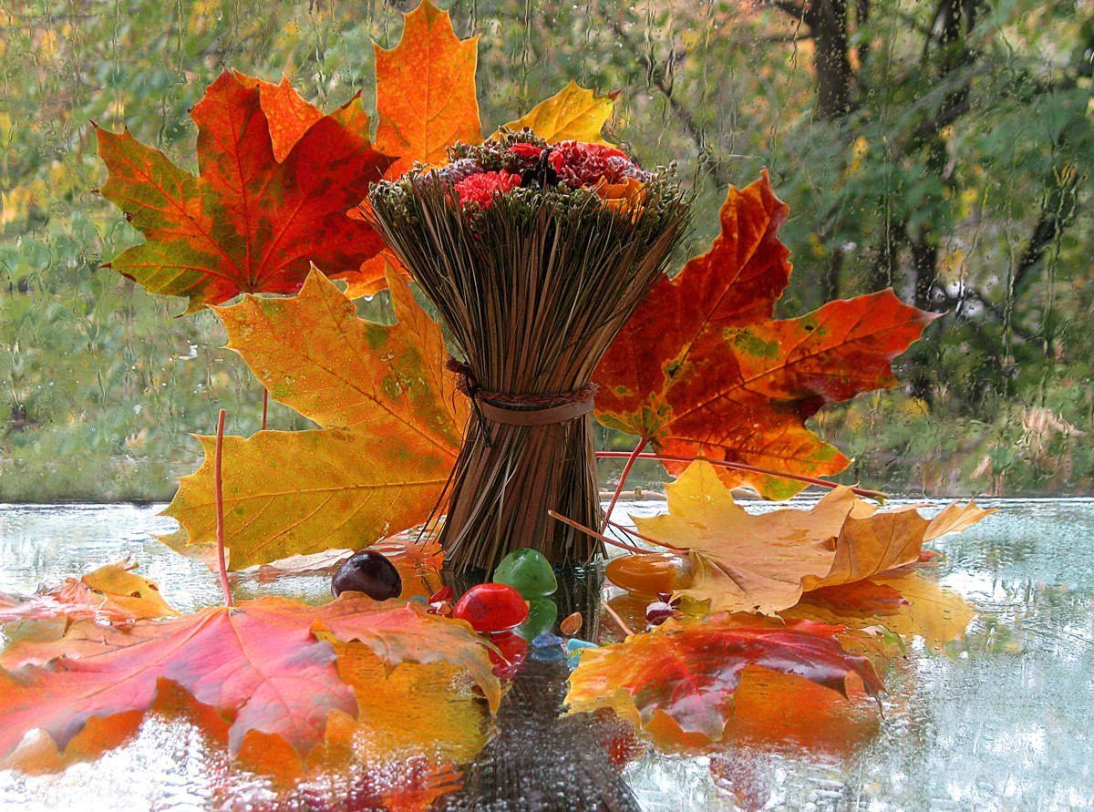 Хороший осени картинки. Краски осени. Осеннее настроение. Осенний день. Чудеса осени.
