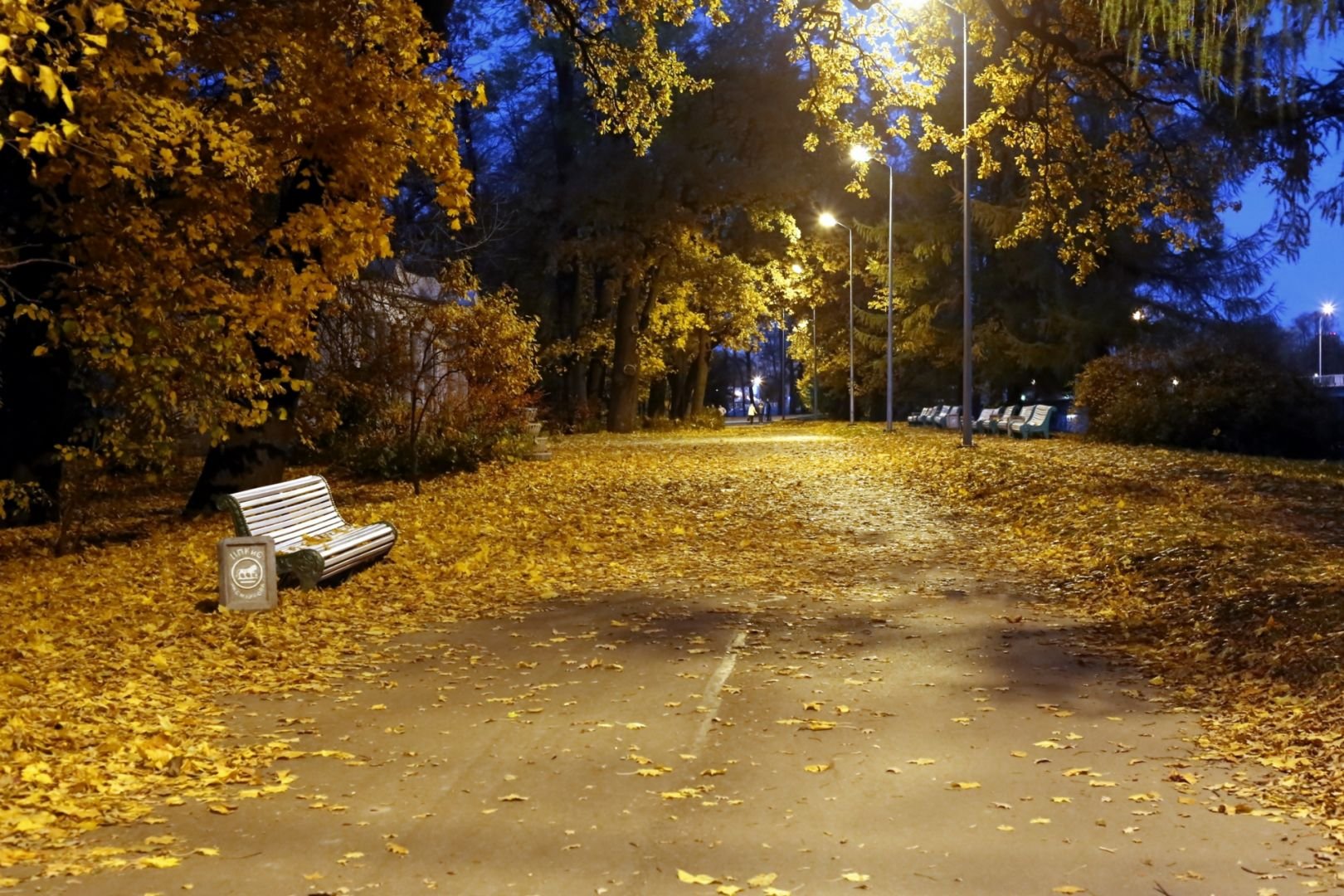 Конец сентября вечер. Осень парк ночь. Осенний парк вечером. Парк осенью ночь. Осень вечер парк.