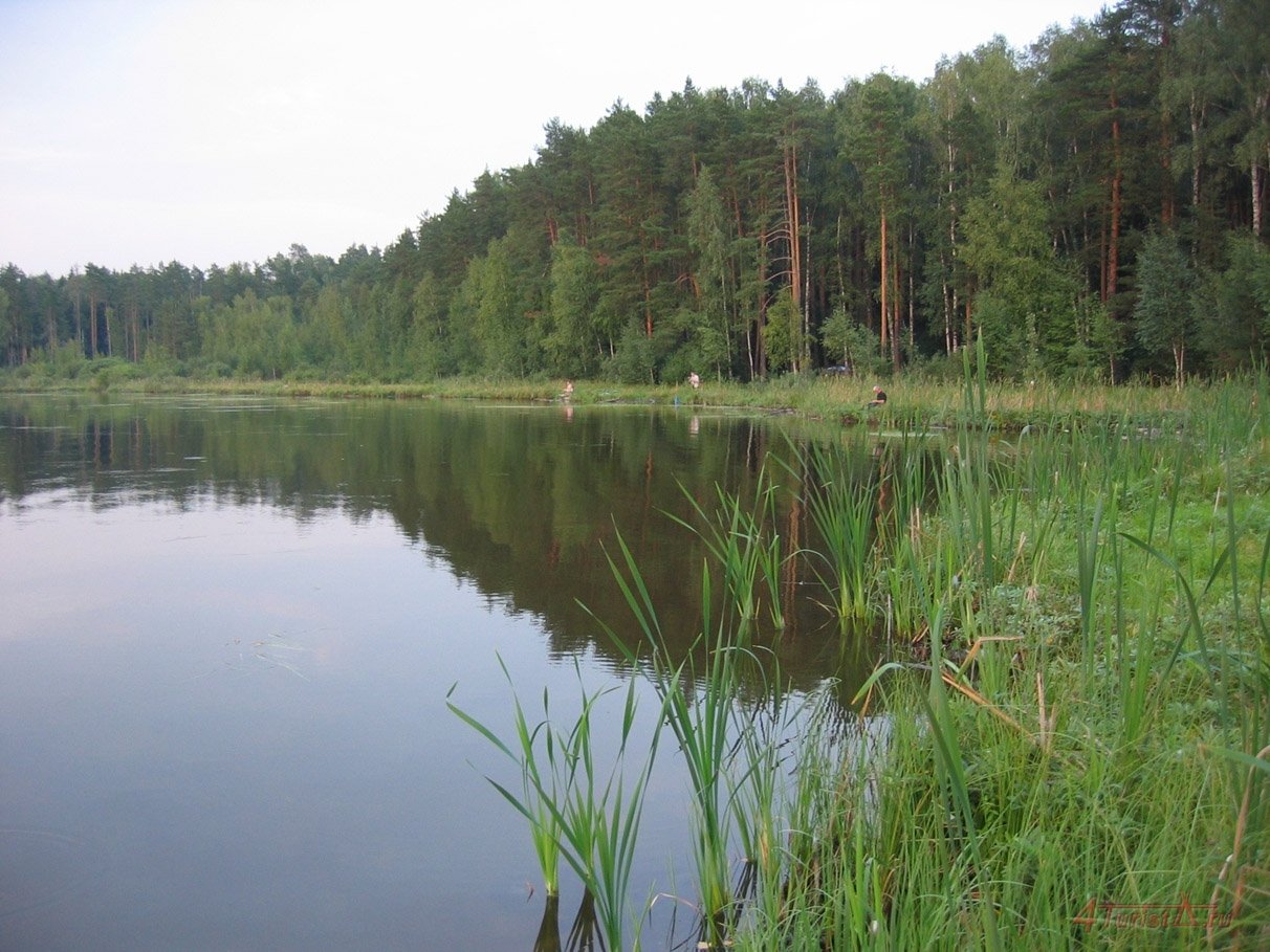 Озеро Ловецкое: популярное место для рыбалки в Ленинградской области