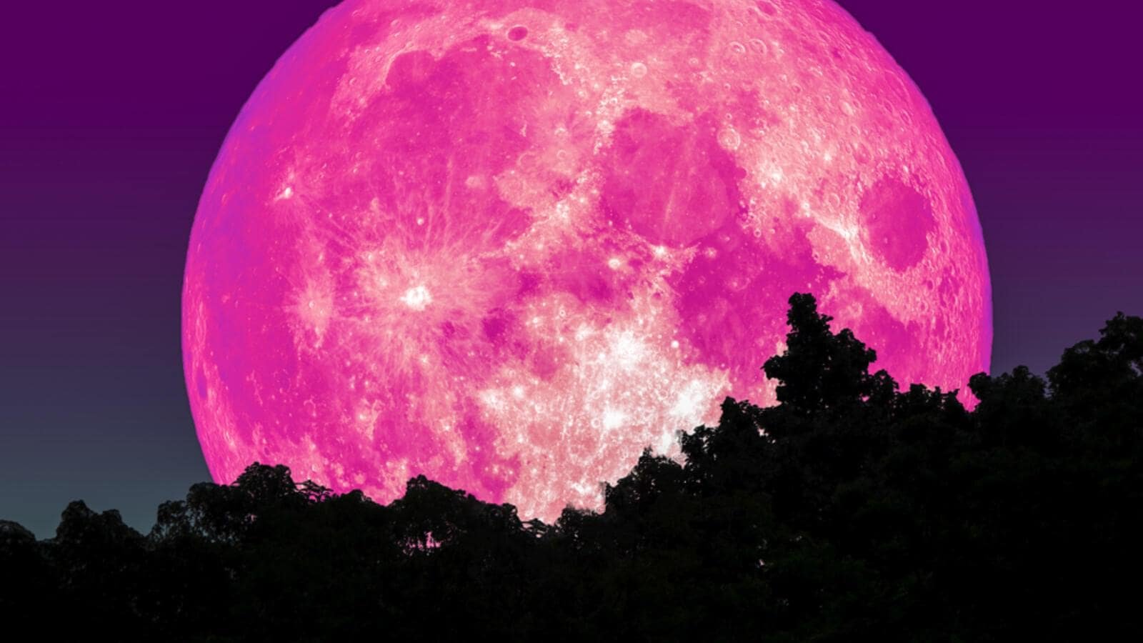 Перекрасил луну в миллионы разных цветов. Розовая Луна. Розовая Планета. Розовое полнолуние. Огромная Луна.