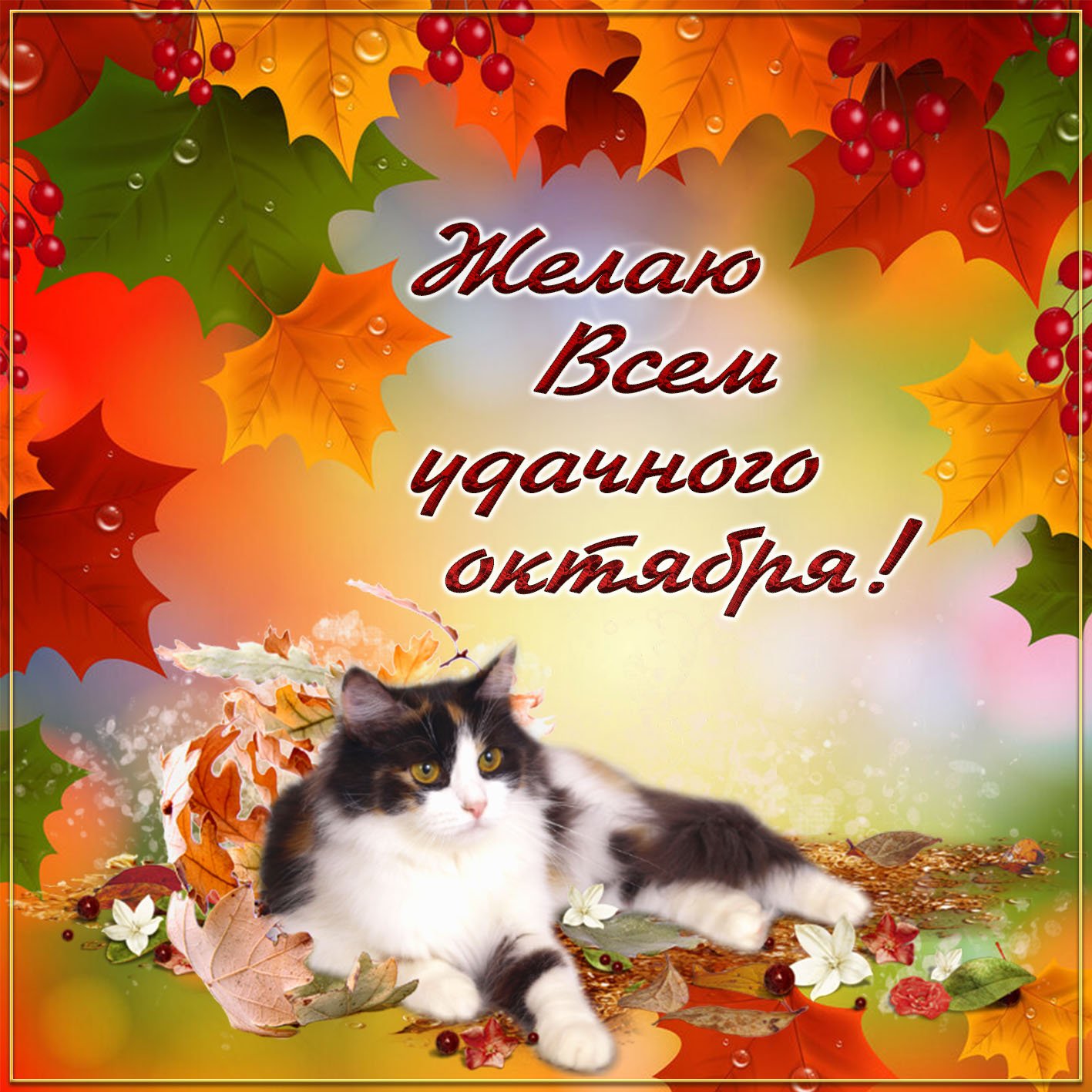 Картинки с октябрем с пожеланиями. Добрый день осень октябрь. Октябрь пожелания. Хорошего осеннего дня с котом. Удачного октября открытки.