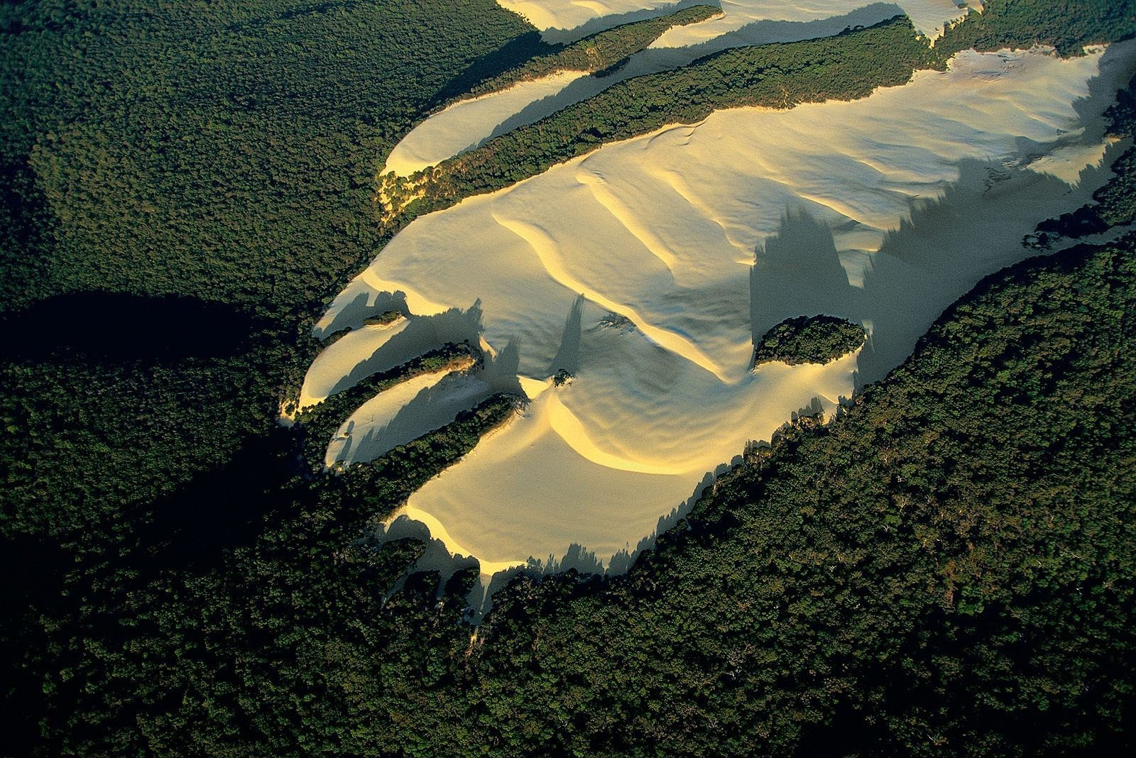 Невероятно сие. Остров Фрейзер, Квинсленд, Австралия. Остров Фрейзер Австралия опасности. Дюны на острове Фрейзер. Песчаный остров Фрейзер в Австралии.