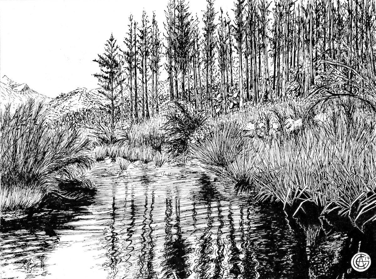 Рисунок черного озера. Графический пейзаж. Зарисовки природы. Графический пейзаж гелевой ручкой. Пейзажигелиевой ручкой.