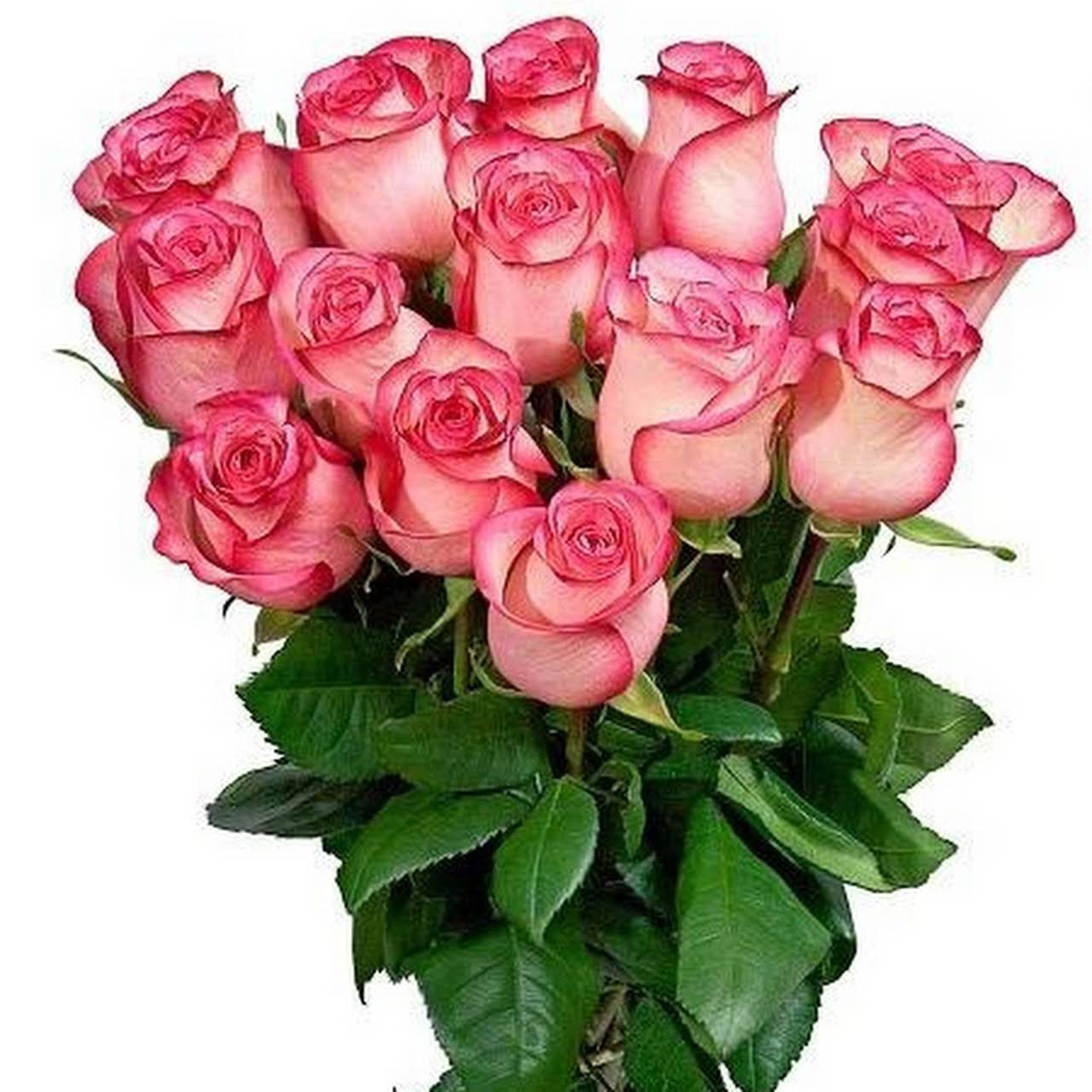 С днем рождения одноклассница открытка поздравление. Цветы поздравления. Открытки с розами. С днём рождения женщине розы.