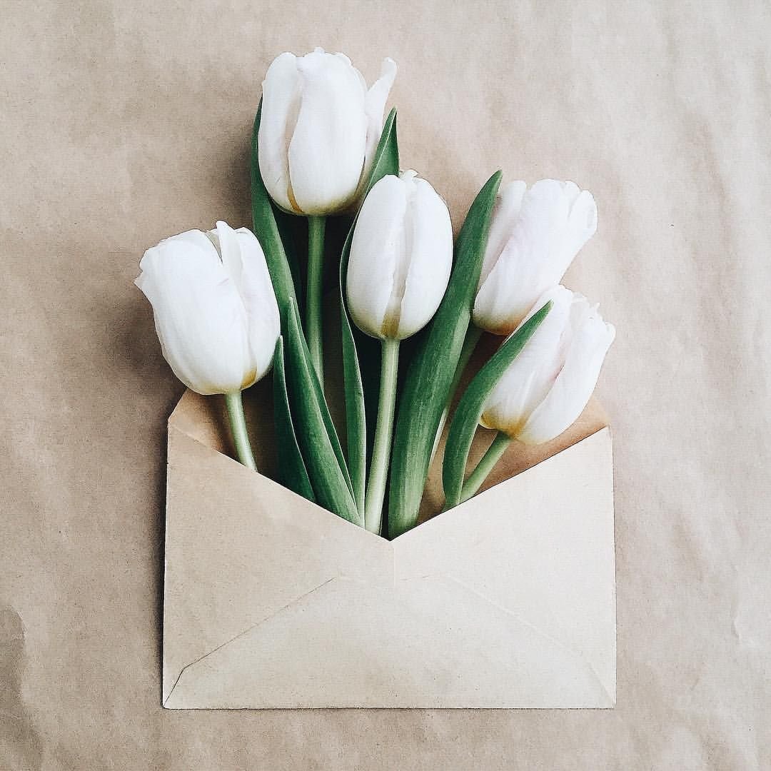 Красивые открытки тюльпаны