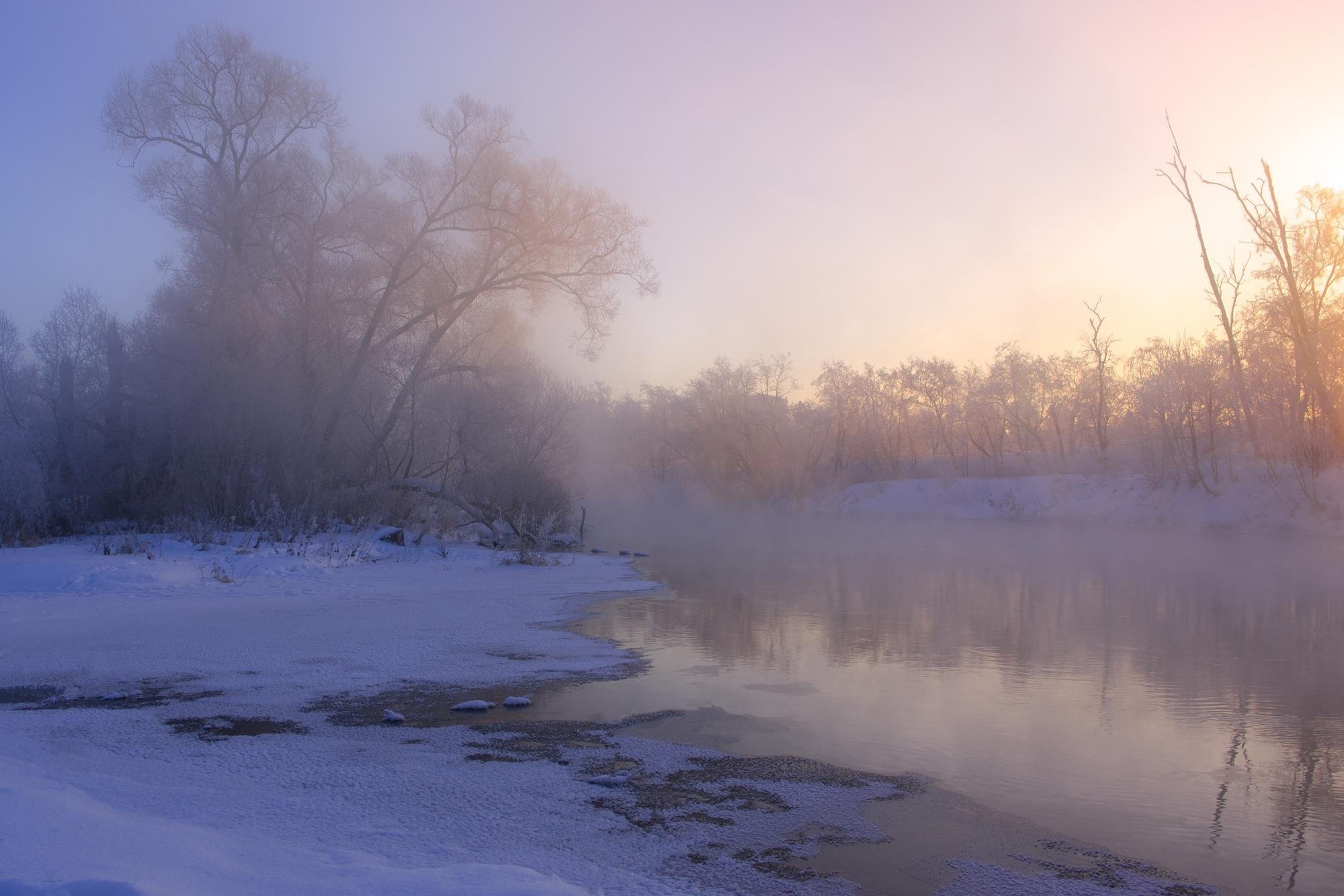 Подмосковная зима. Природа Московской области зима. Зима в Подмосковье. Красивый зимний подмосковный пейзаж.