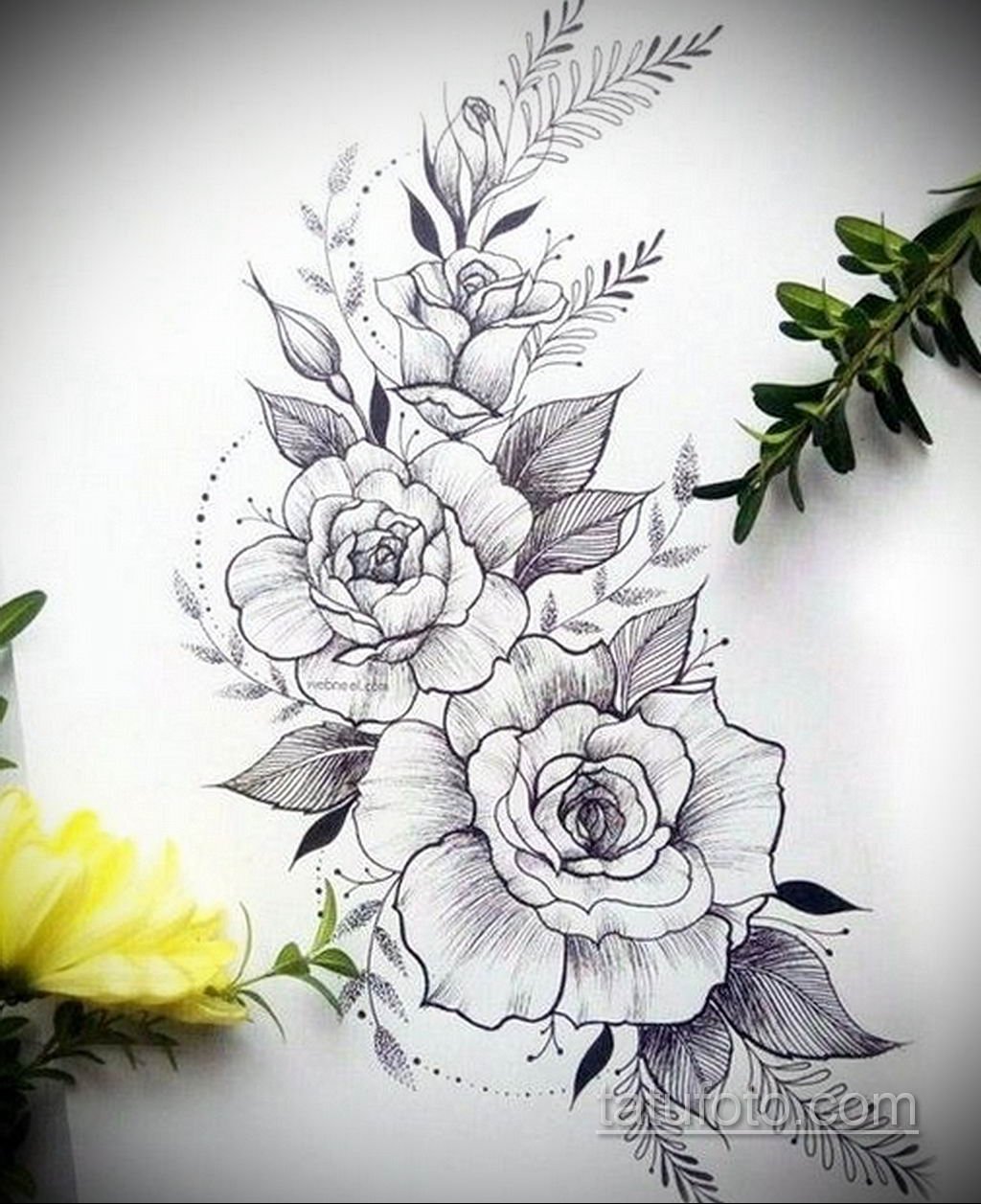 Красивые цветы рисунки карандашом - 88 фото