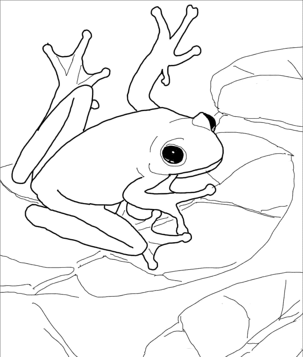 Раскраска милая жабка