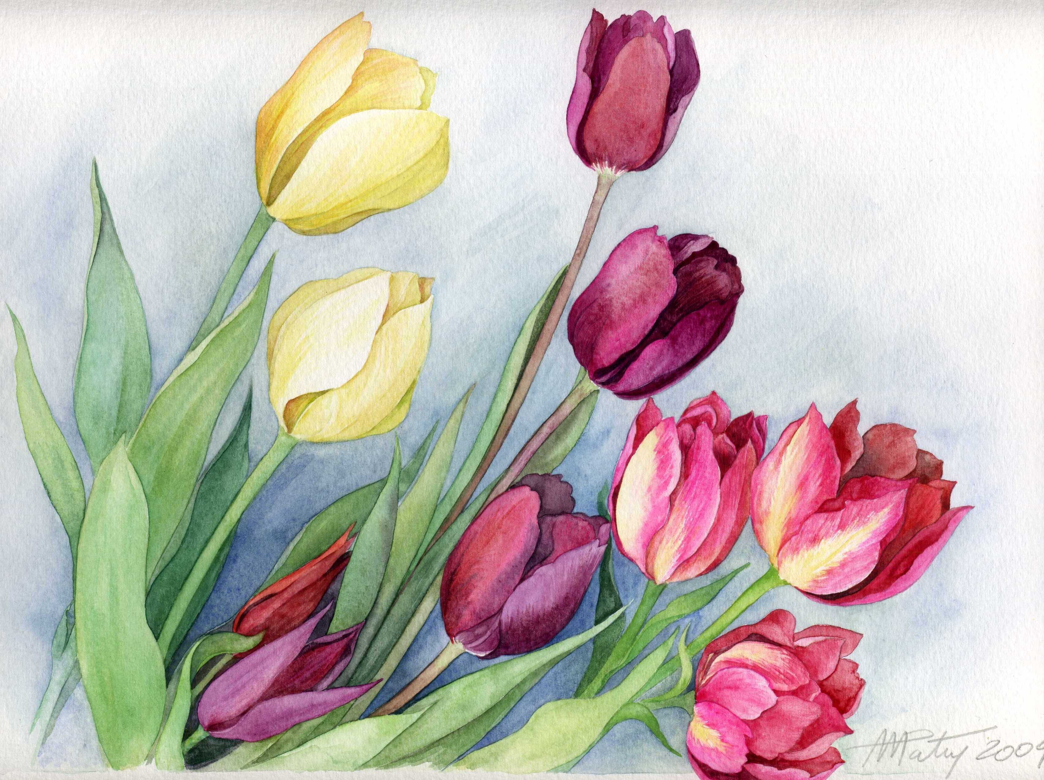 Нарисовать весенний букет. Anne Marie Patry-Belluteau акварели. Красивые цветы гуашью. Акварельные тюльпаны.