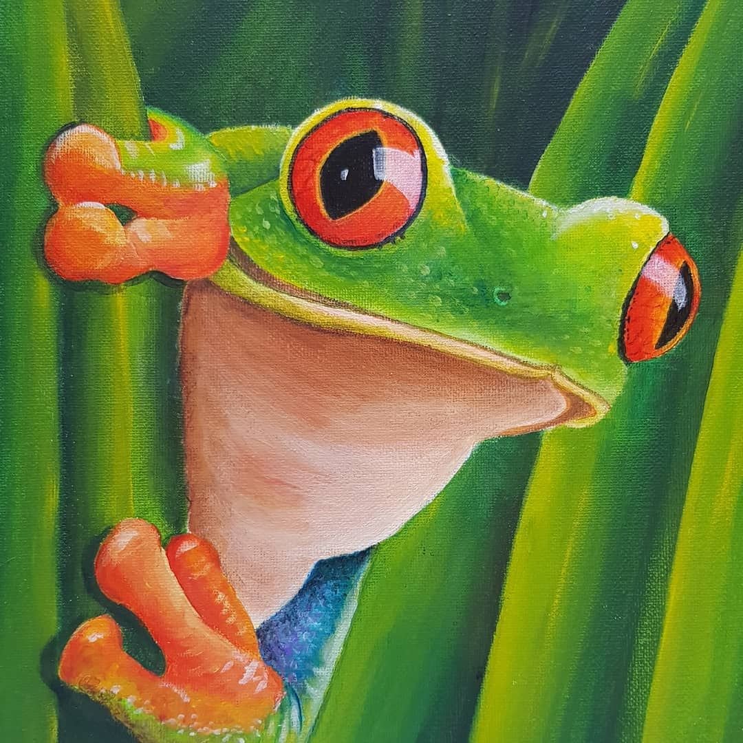 Милая жаба рисунок