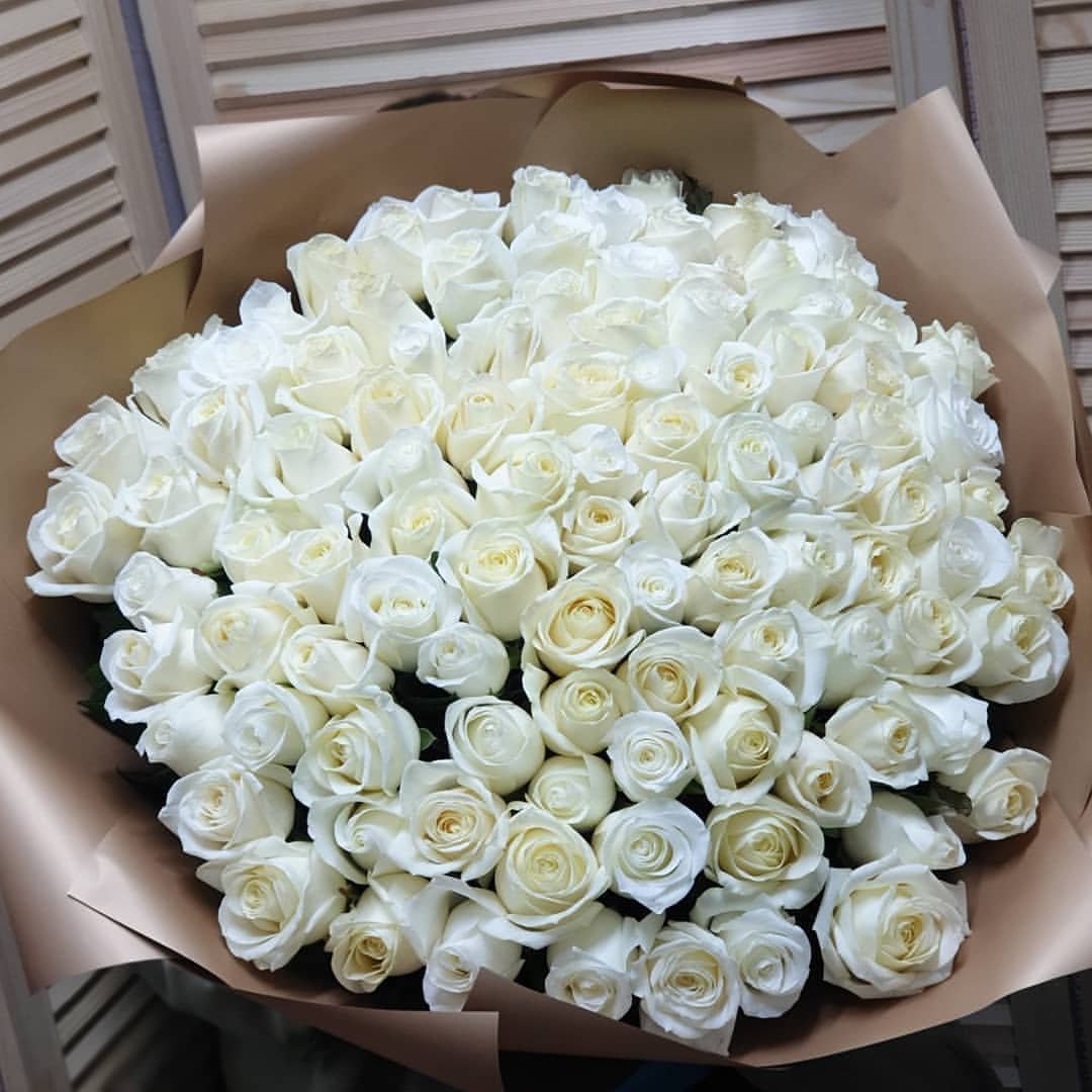Белые розы в машине реальные фото