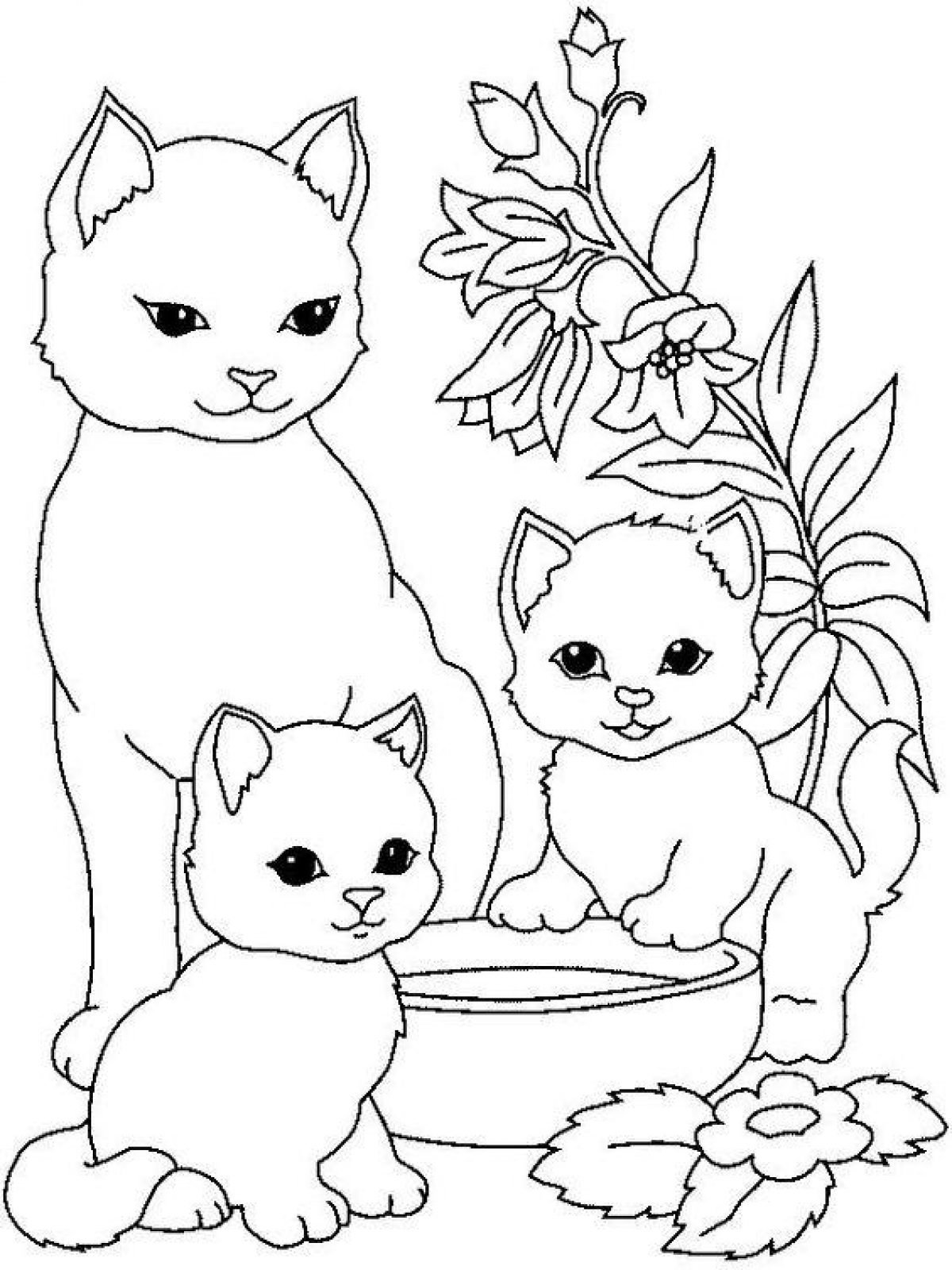 Раскраска Кошка и собака - детские раскраски распчеатать бесплатно