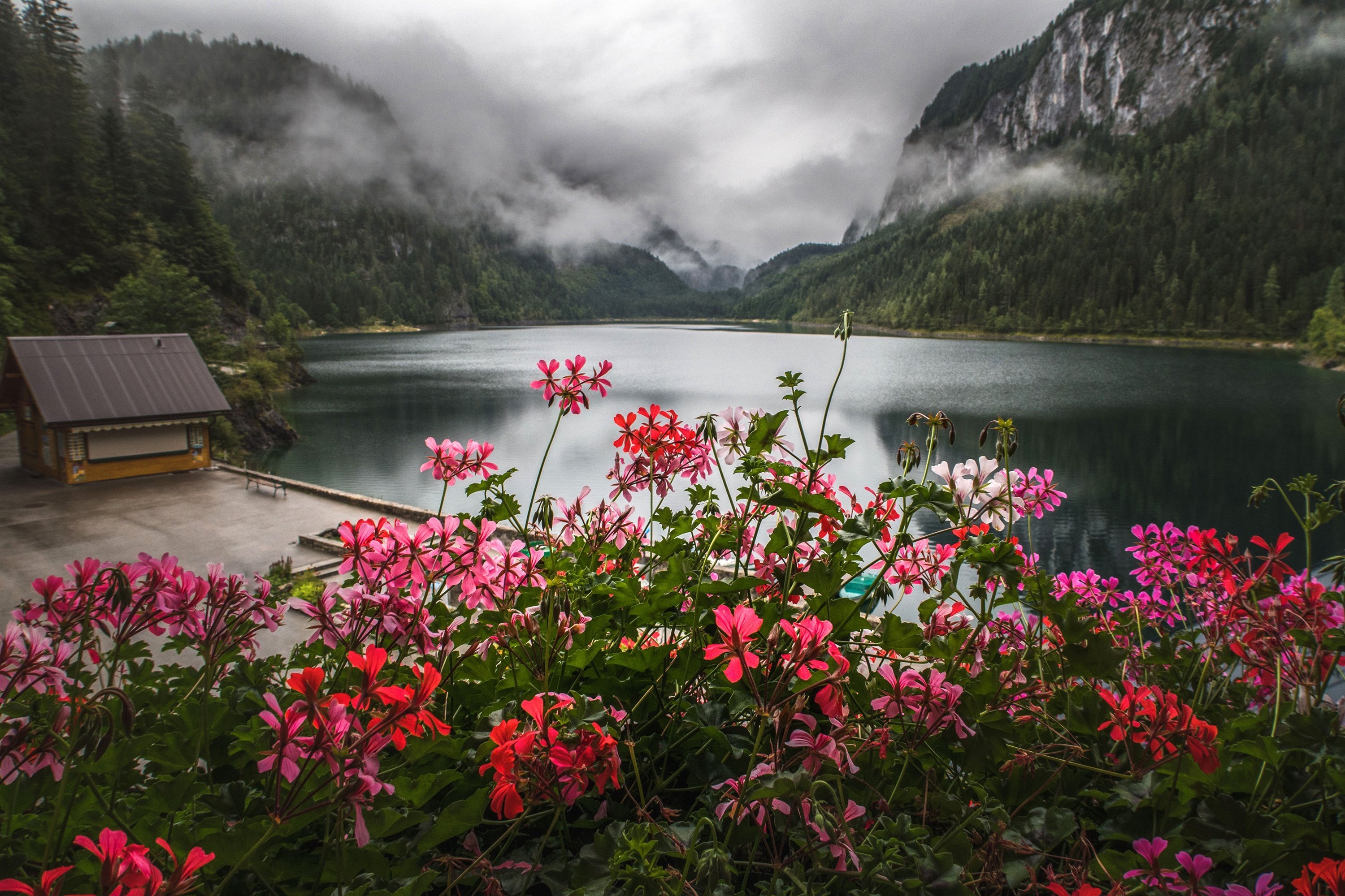 Цветы норвегии. Горы река цветы. Цветы в горах. Горы озеро цветы. Цветущее озеро.