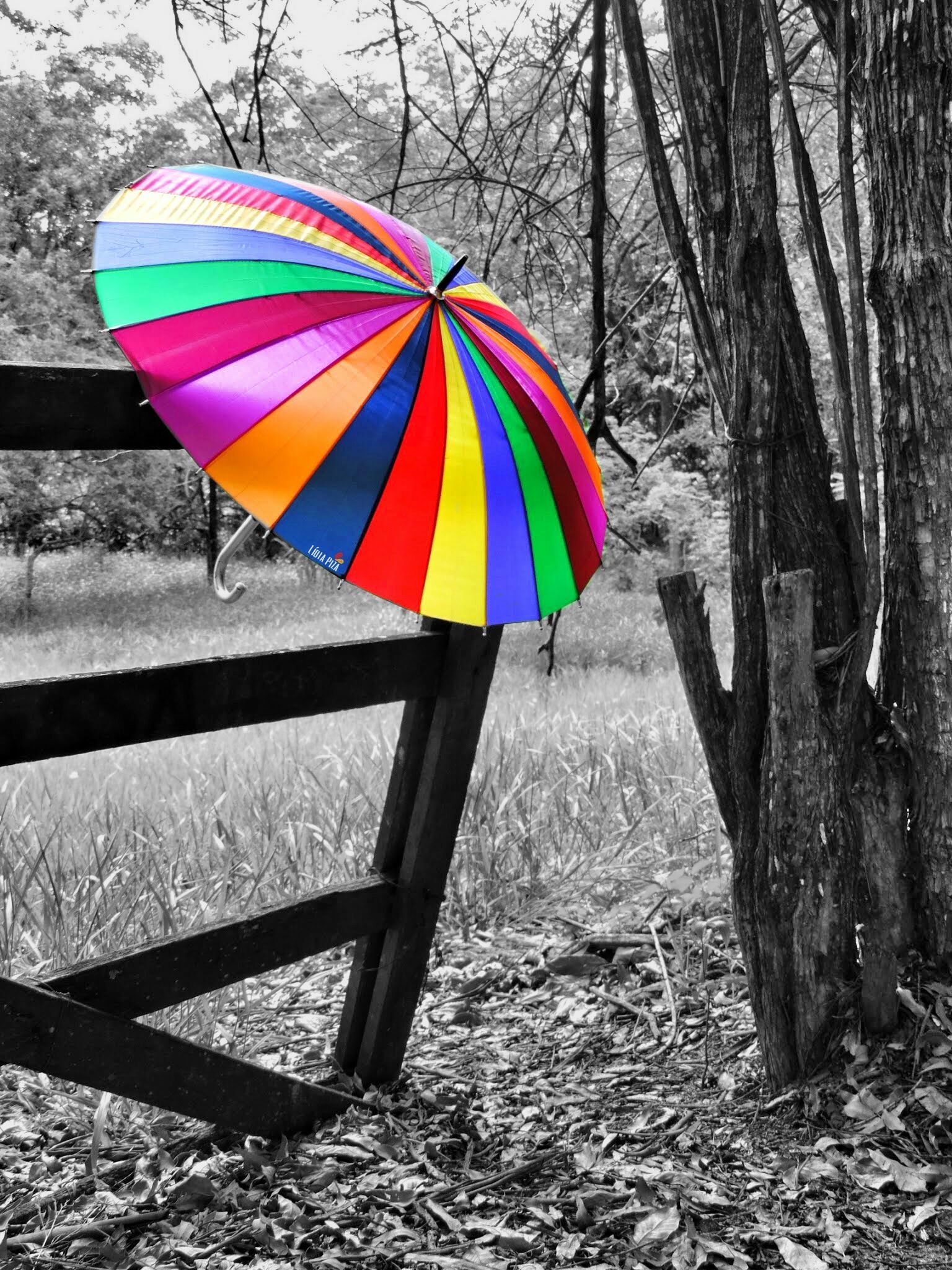 Разукрасить жизнь. Зонтики яркие. Красочный зонтик. Цветные зонтики. Фотосессия с цветным зонтом.