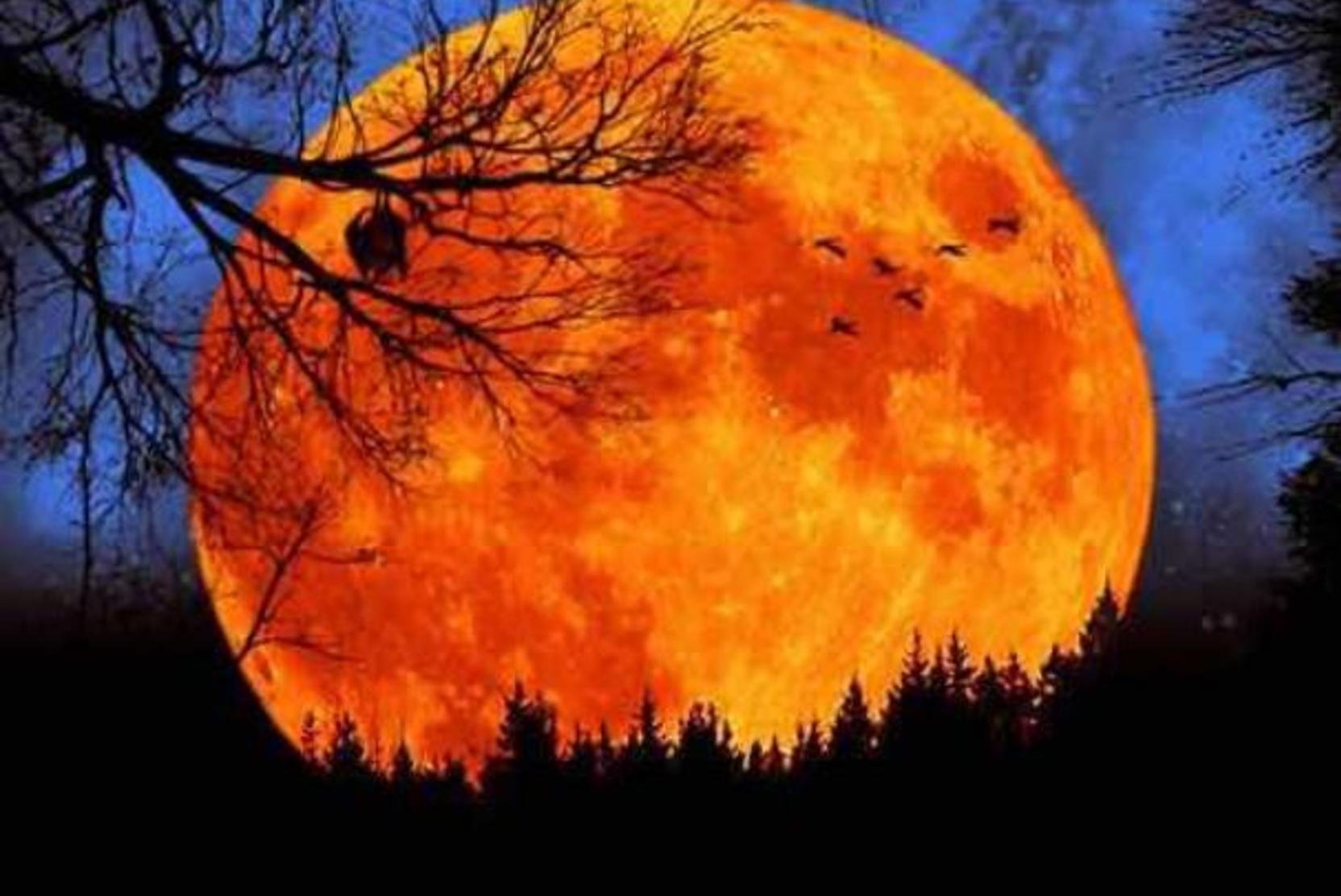 Большая оранжевая луна. Оранжевая Луна. Огромная оранжевая Луна. Красная Луна. Луна оранжевого цвета.