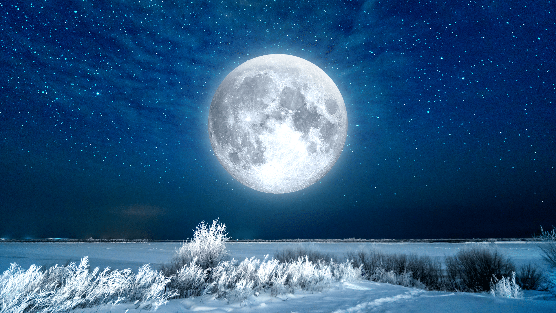 Светит холодная луна