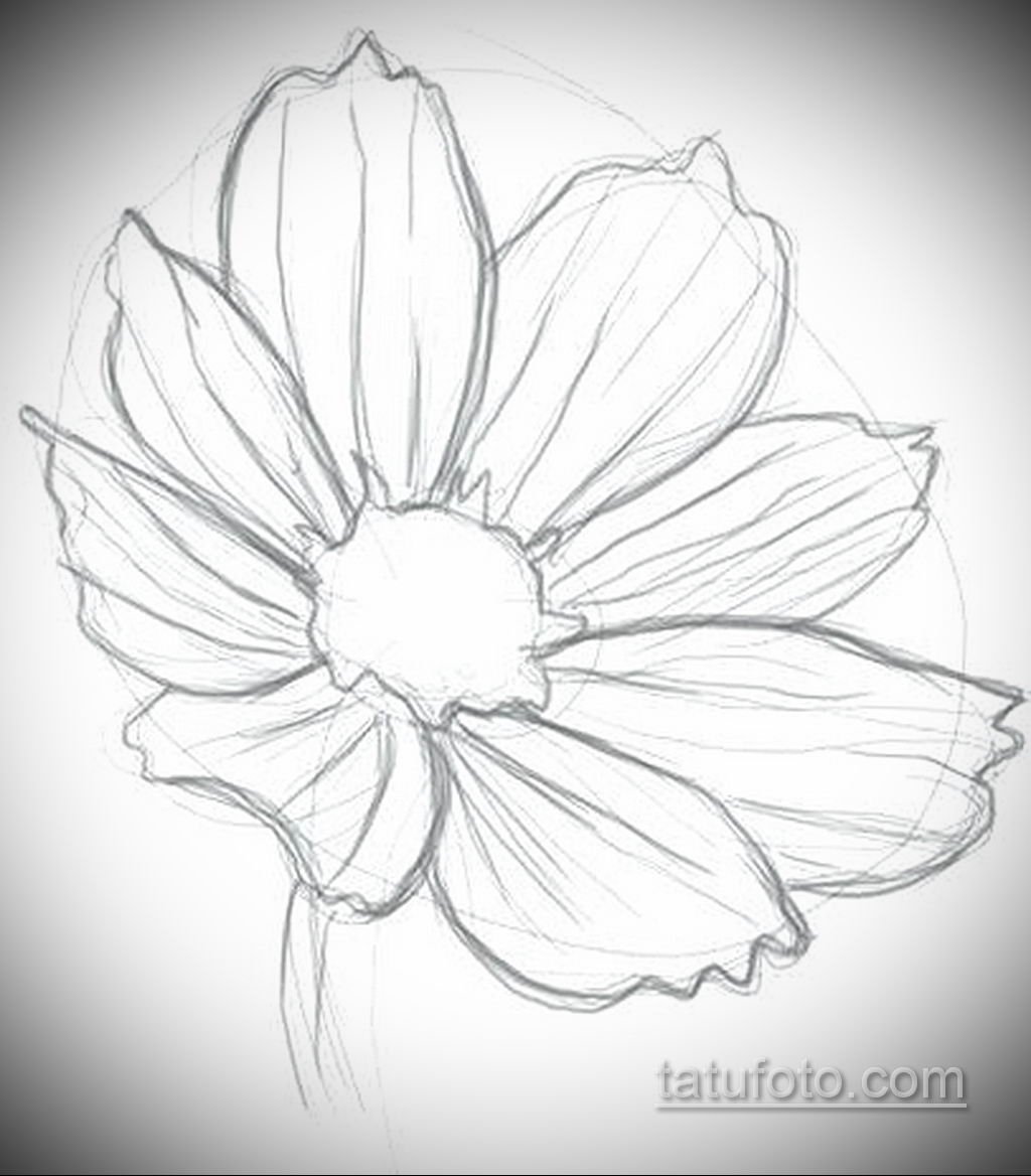 Https outline com. Рисунки цветов. Рисунки цветов карандашом. Цветы карандашом для срисовки. Красивые цветочки для срисовки.