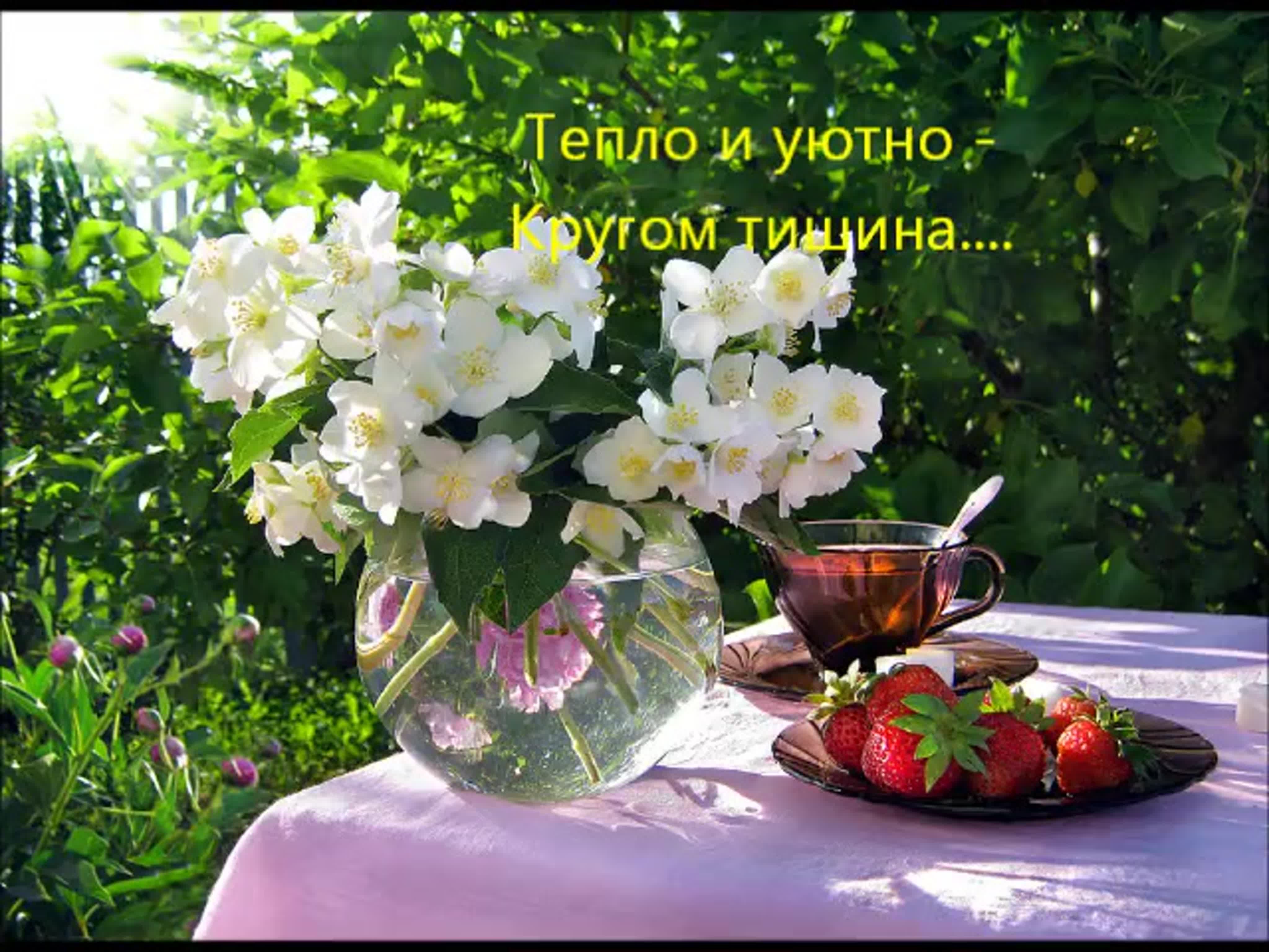 Картинки доброе утро хорошего дня природа. Летние цветы в вазе. Весеннее утро в саду. Утренние цветы. Летние цветы натюрморт.